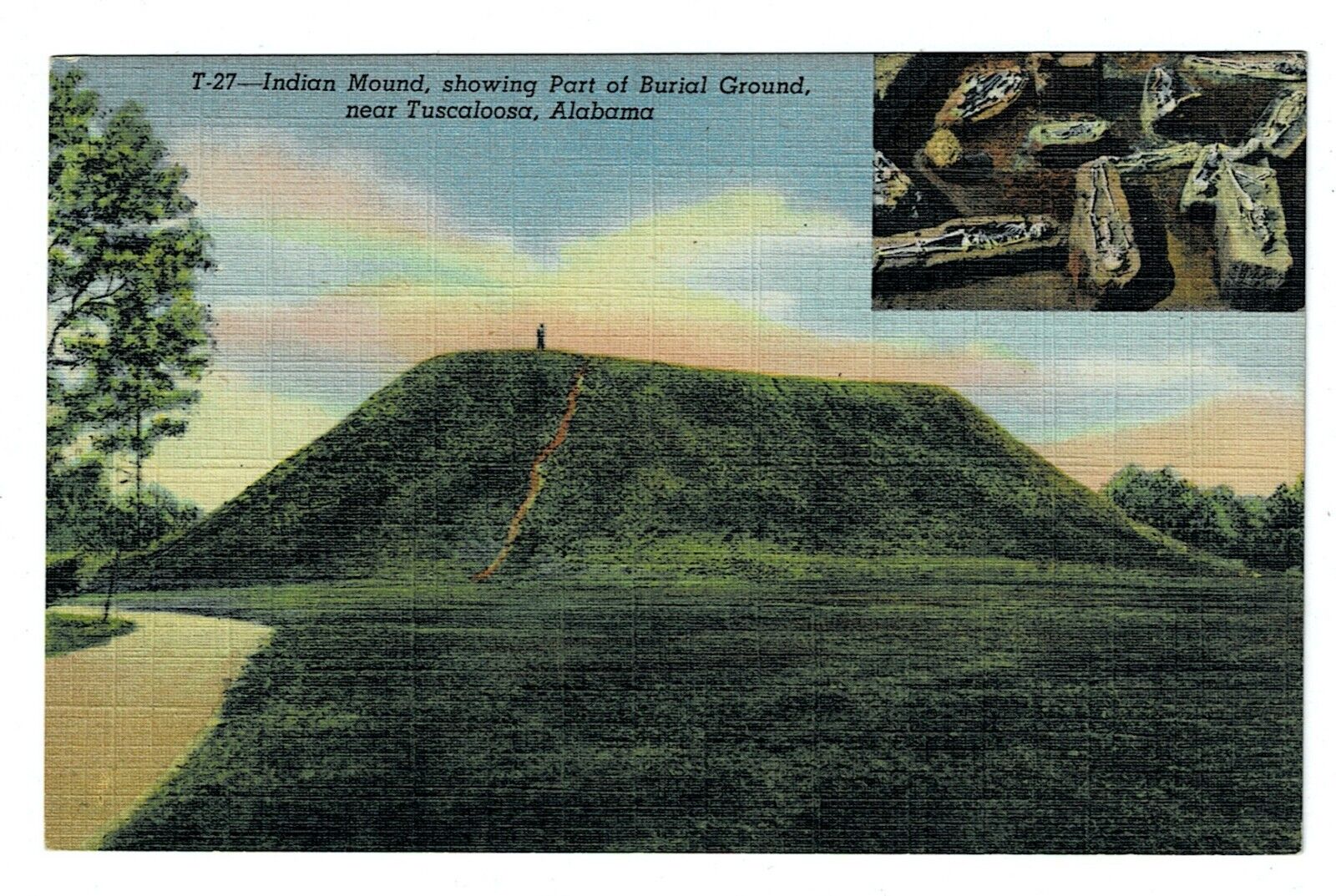 Indian Burial Ground, Maya skeletons, Tuscaloosa, Alabama. Vintage Postcard