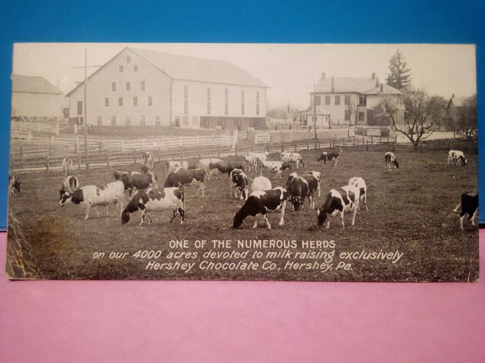 Lot 2 Hershey\'s Chocolate postcards cows garage livery minis 5 1/2\