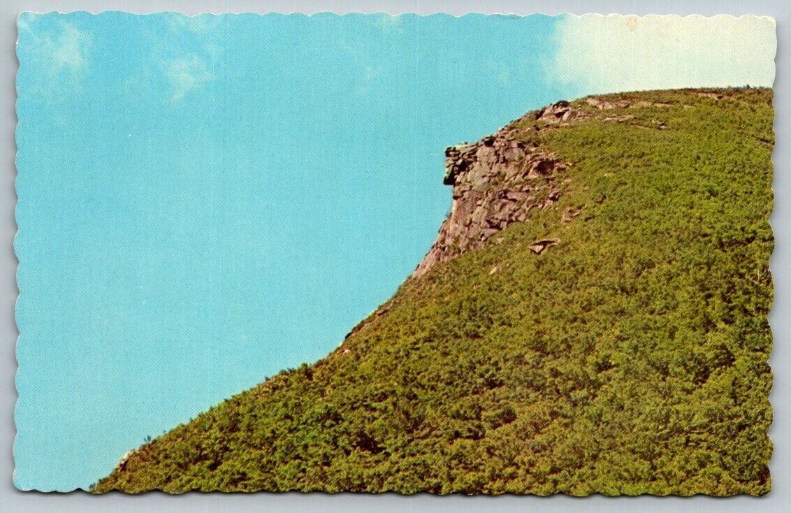 Old Man on the Mountain  Franconia Notch  New Hampshire   Postcard