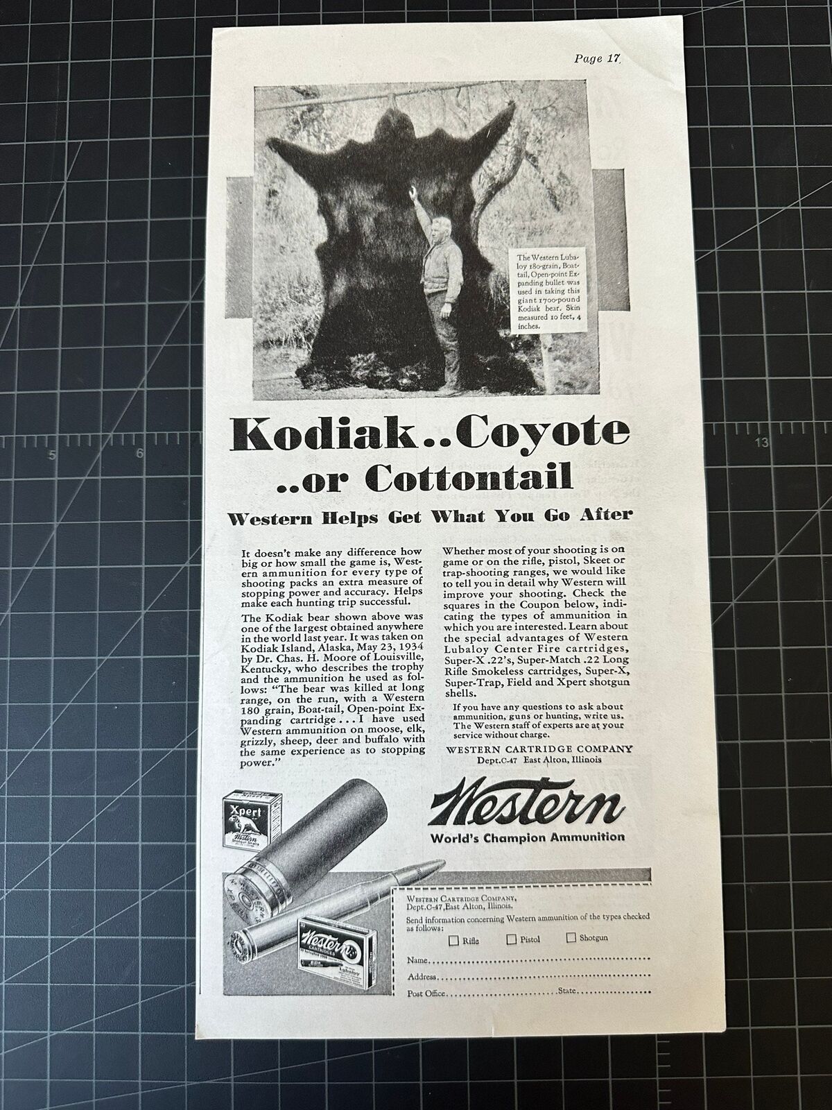 Vintage 1930s Western Ammo Print Ad