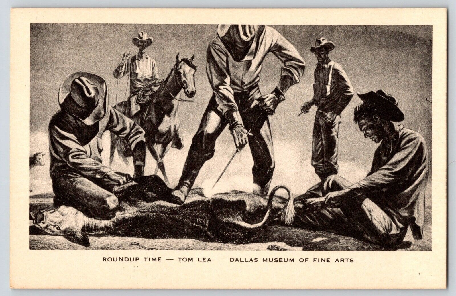 Postcard Cowboys Branding Cattle