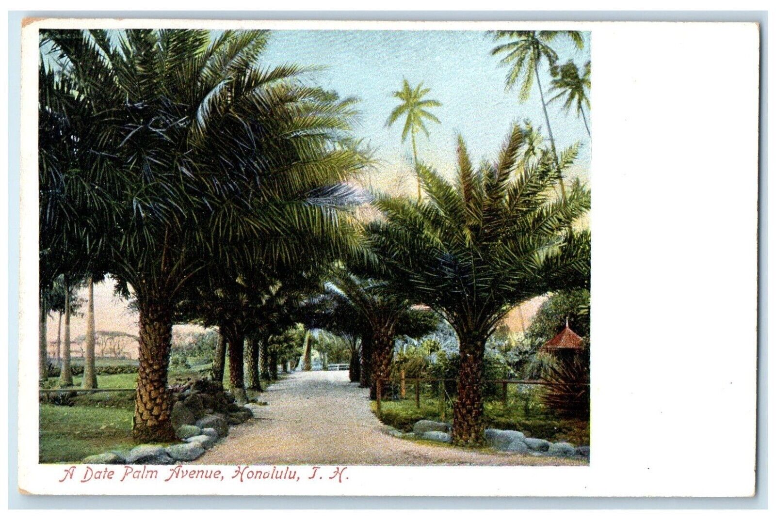 c1905 A Date Palm Avenue Exterior View Honolulu Hawaii Vintage Antique Postcard