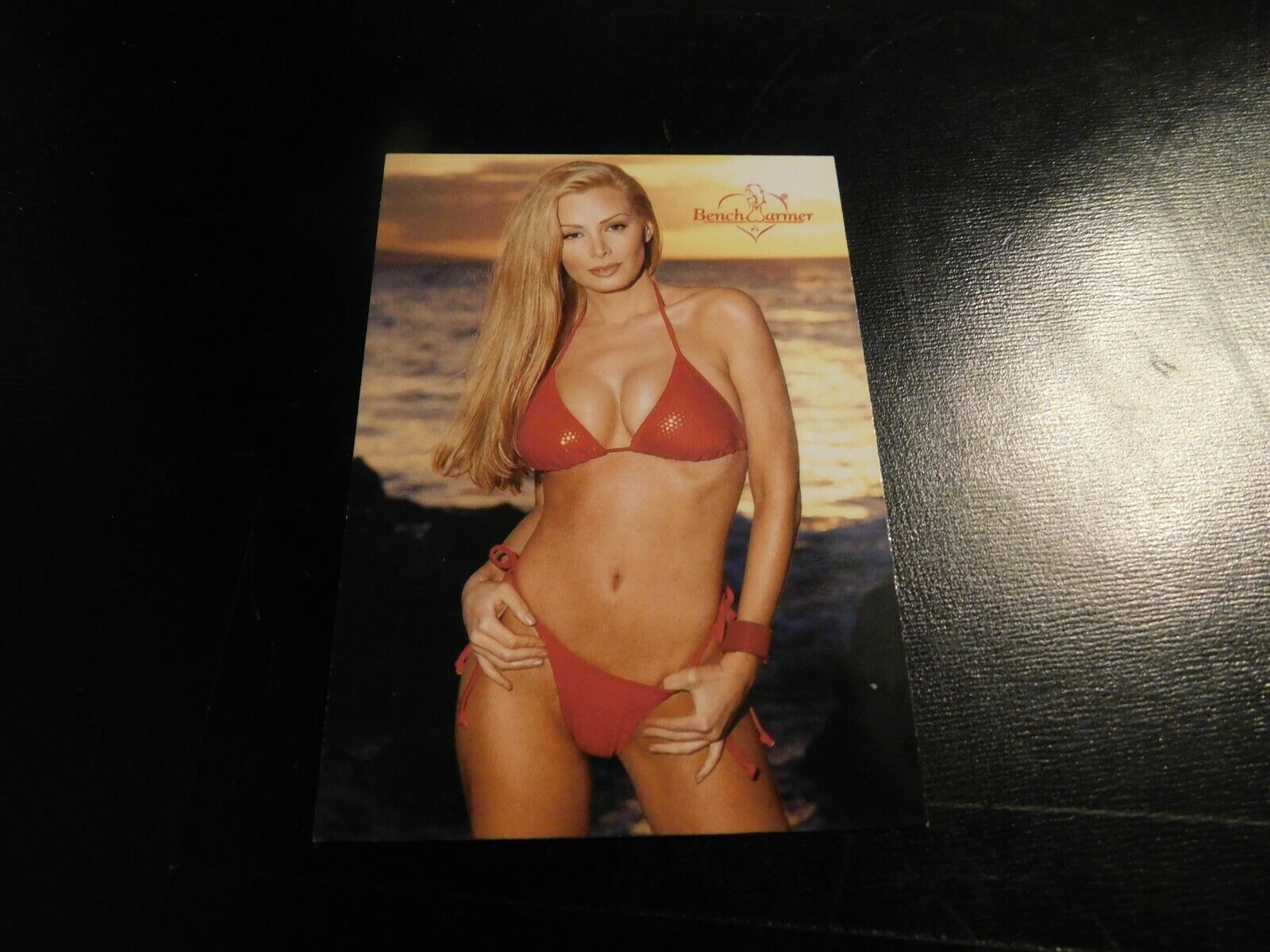 2002 Bench Warmer Trading Cards