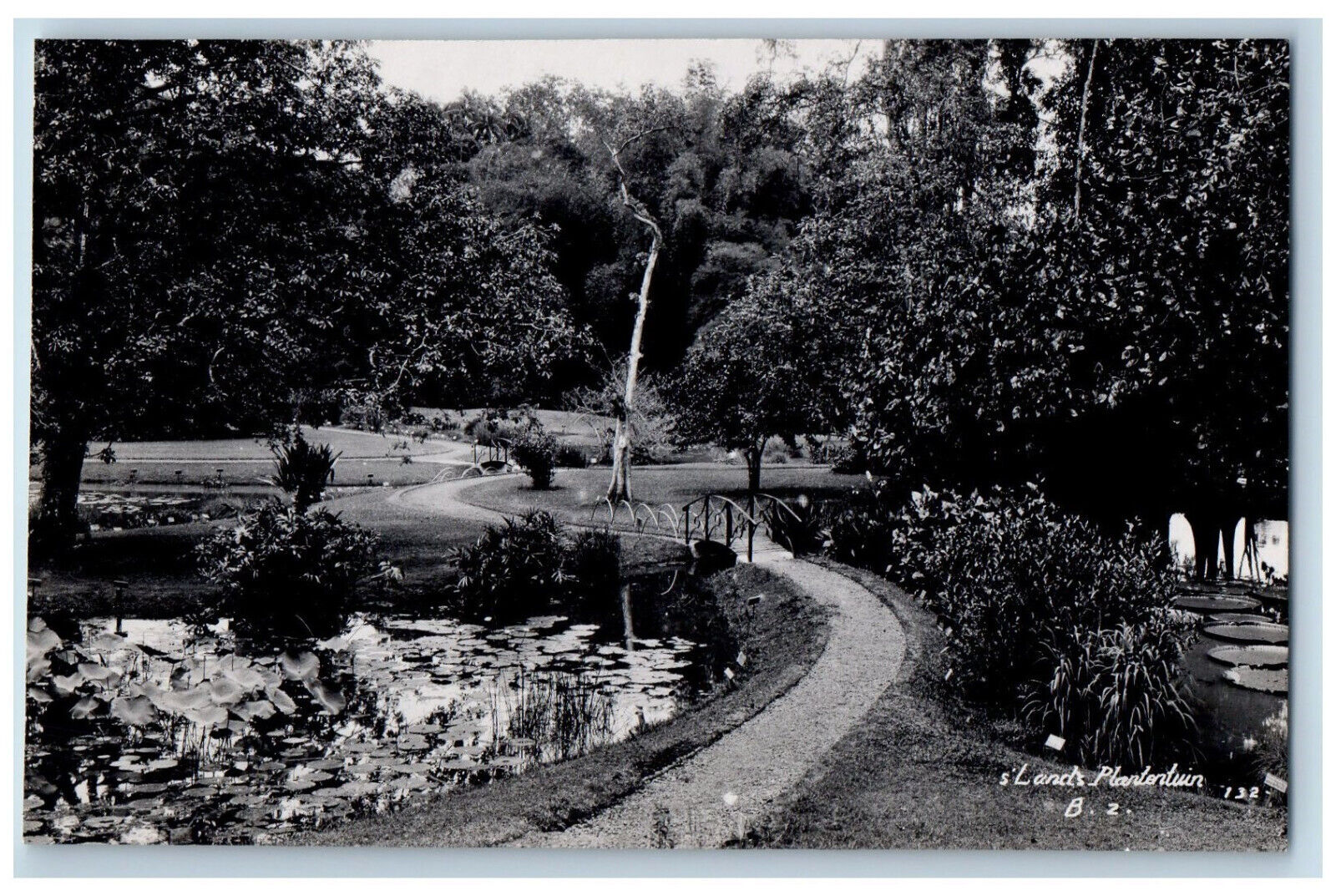 Garut Indonesia Postcard Small Bridge Trees Pond c1910 Antique RPPC Photo