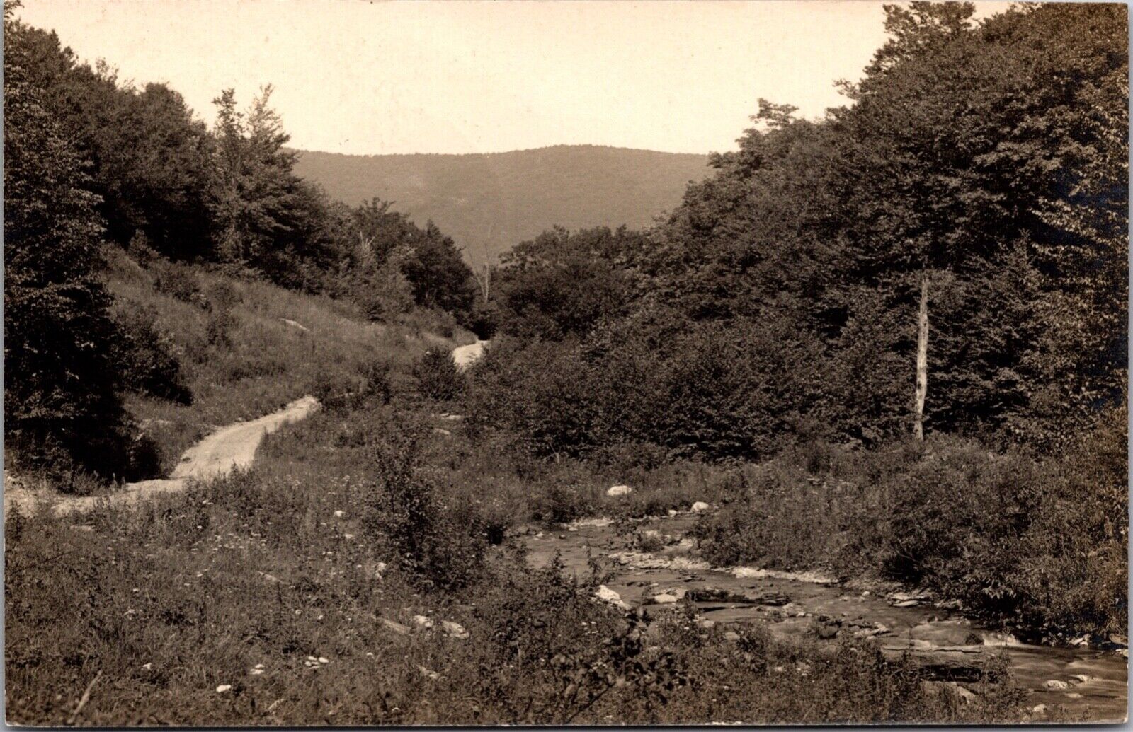 Real Photo Postcard Landscape of Manchester, Vermont
