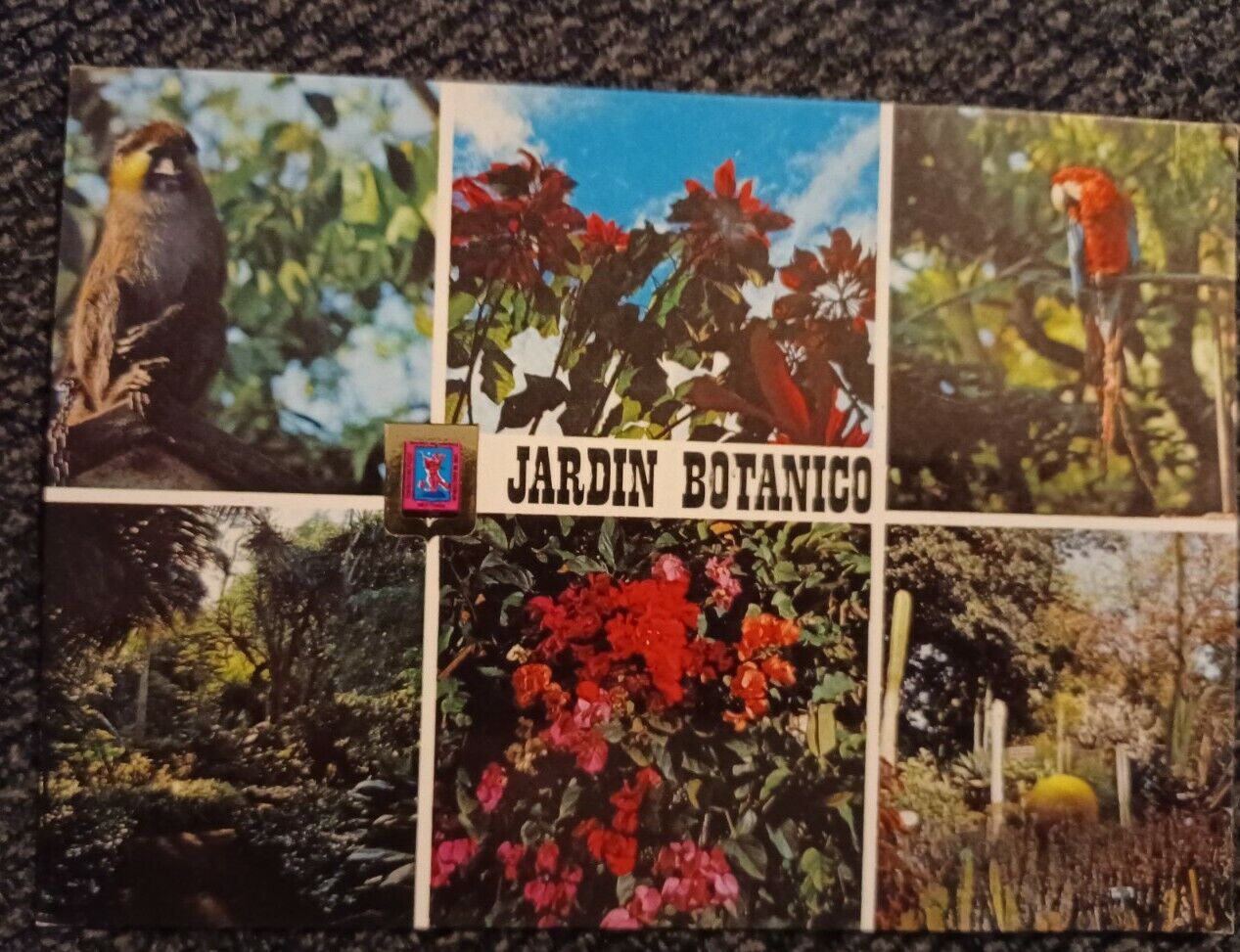 The JARDIN Botanical Gardens 🇨🇦 Canadian Vintage Postcard colorful 