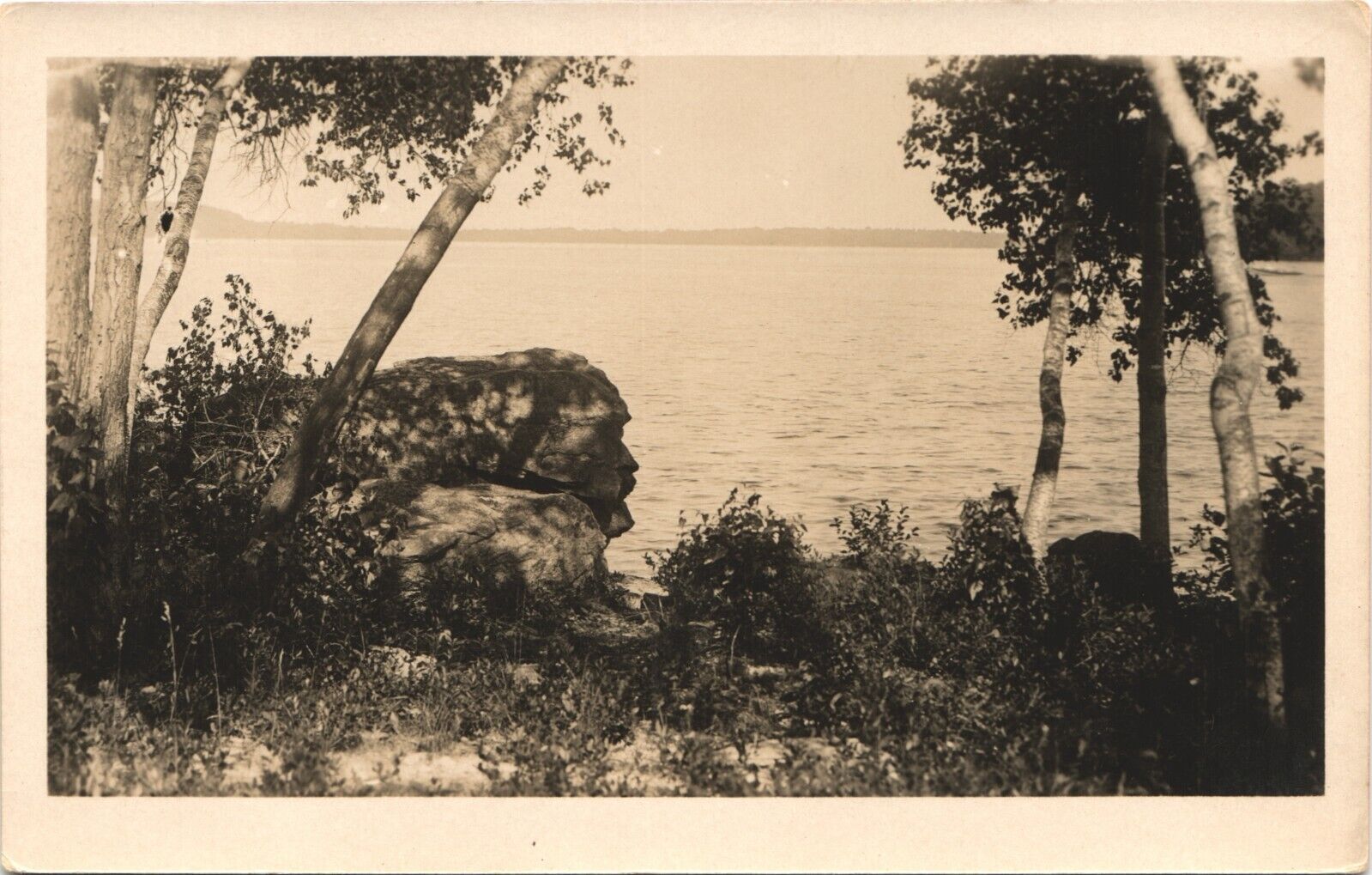 STRANGE FACE ON ROCK antique real photo postcard rppc RARE NATURAL FEATURE