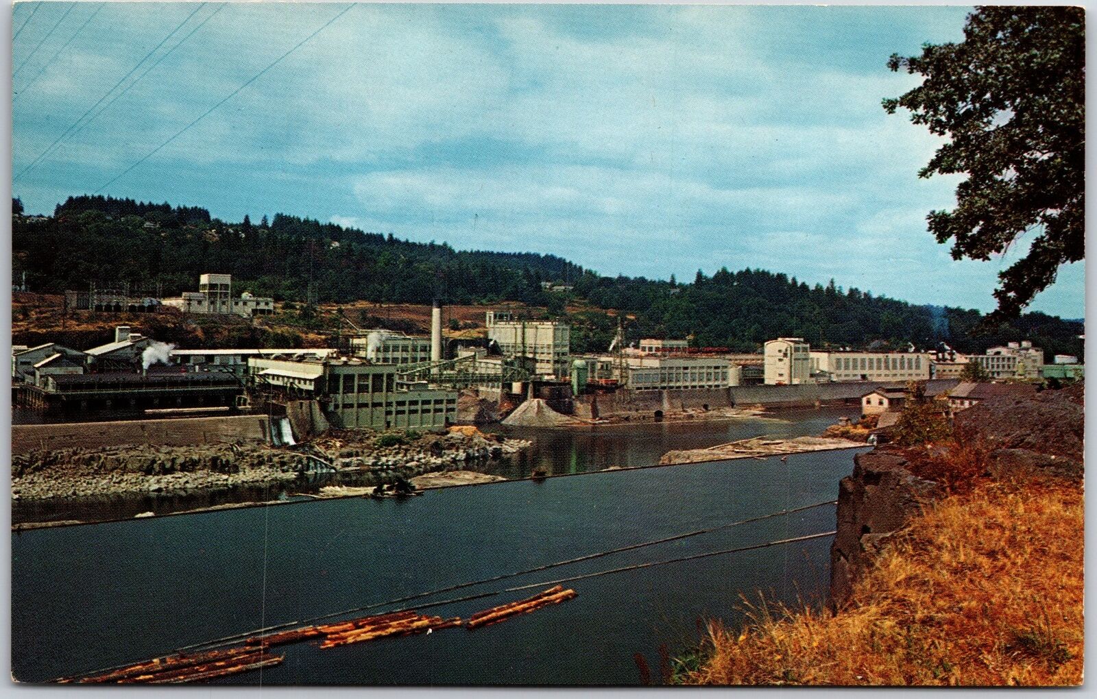 West Linn Oregon OR, Crown-Zelleback Corp., Pulp, Paper Mill, River, Postcard
