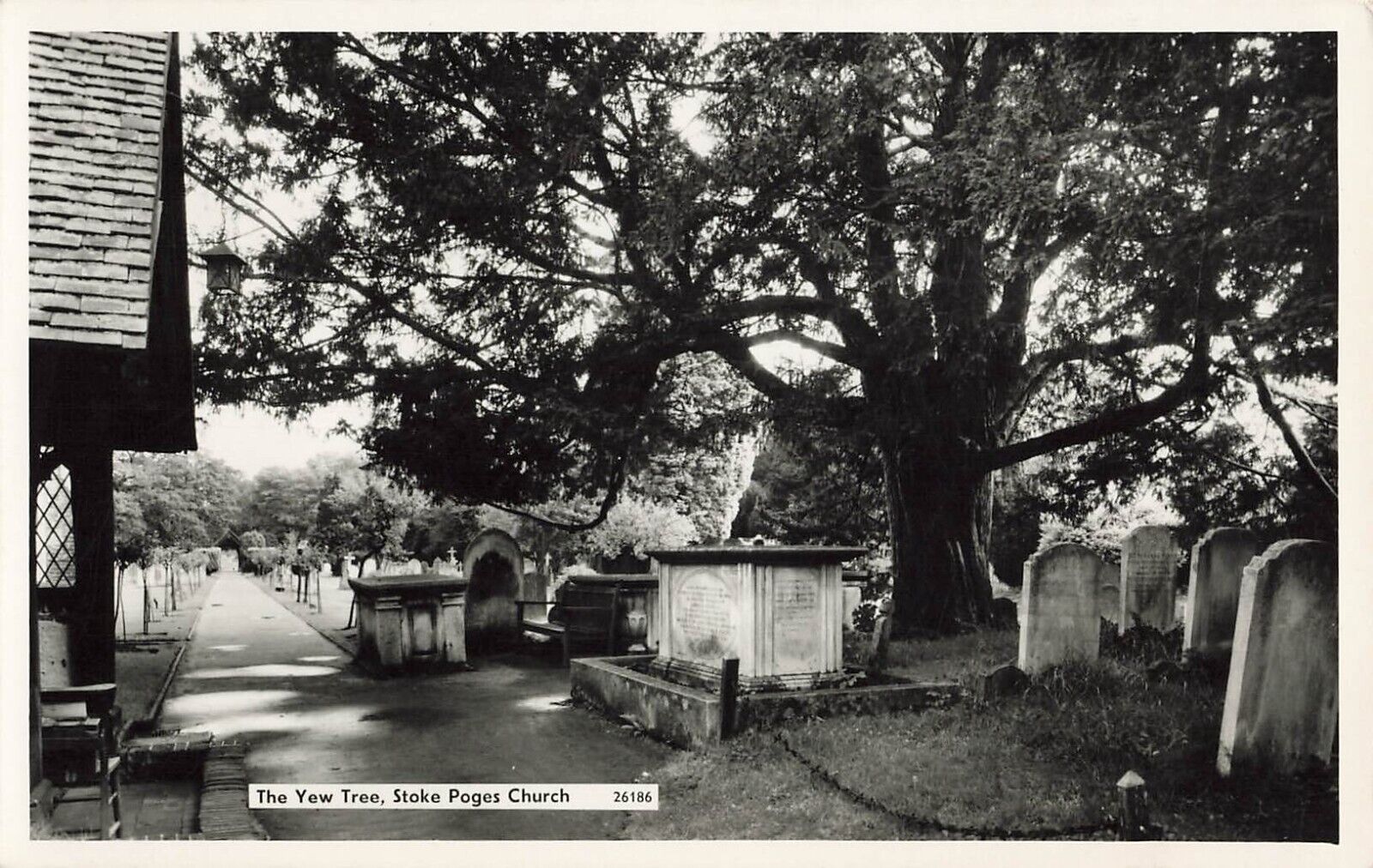 Postcard Stoke Poges, Buckinghamshire, England: Yew Tree, St Giles\' Church