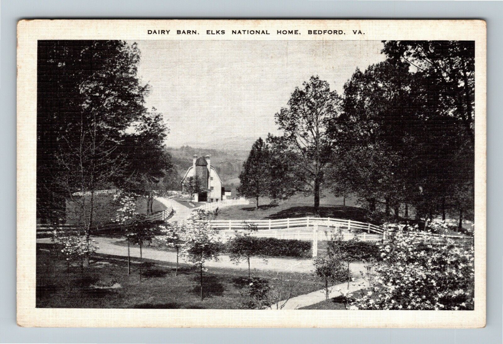 Bedford VA-Virginia, Elks National Home, Scenic Farm, Dairy Barn, Linen Postcard