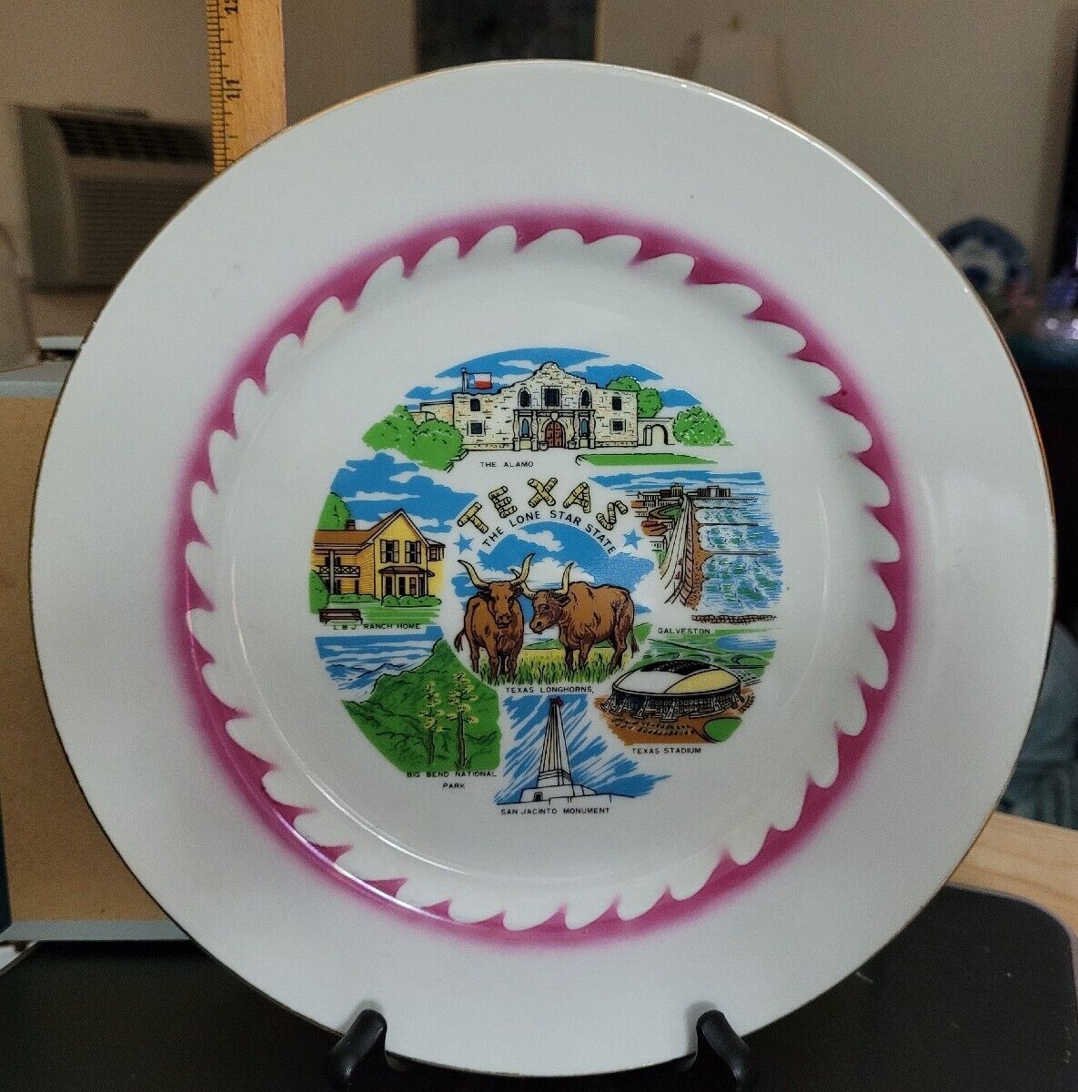 Vintage Souvenir porcelain Plate of TEXAS