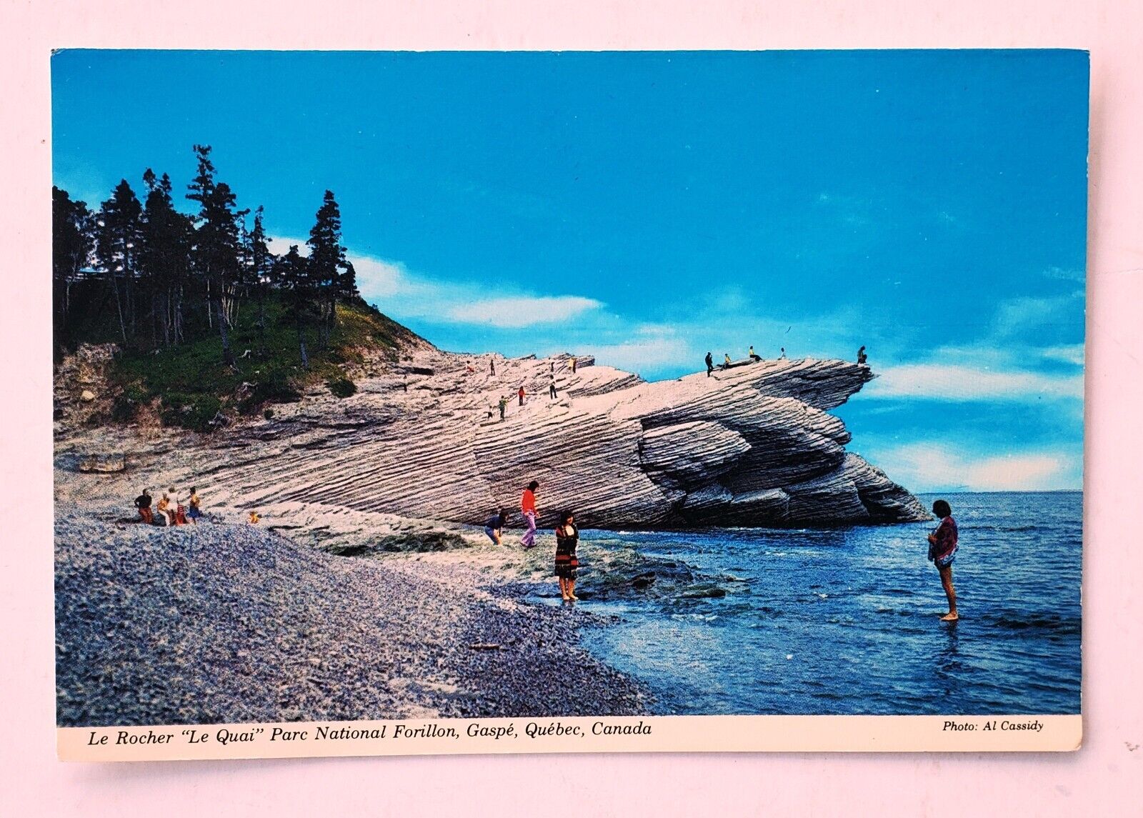 Vintage RPPC Color Photo Postcard Le Quai Forillon National Park Gaspe Quebec