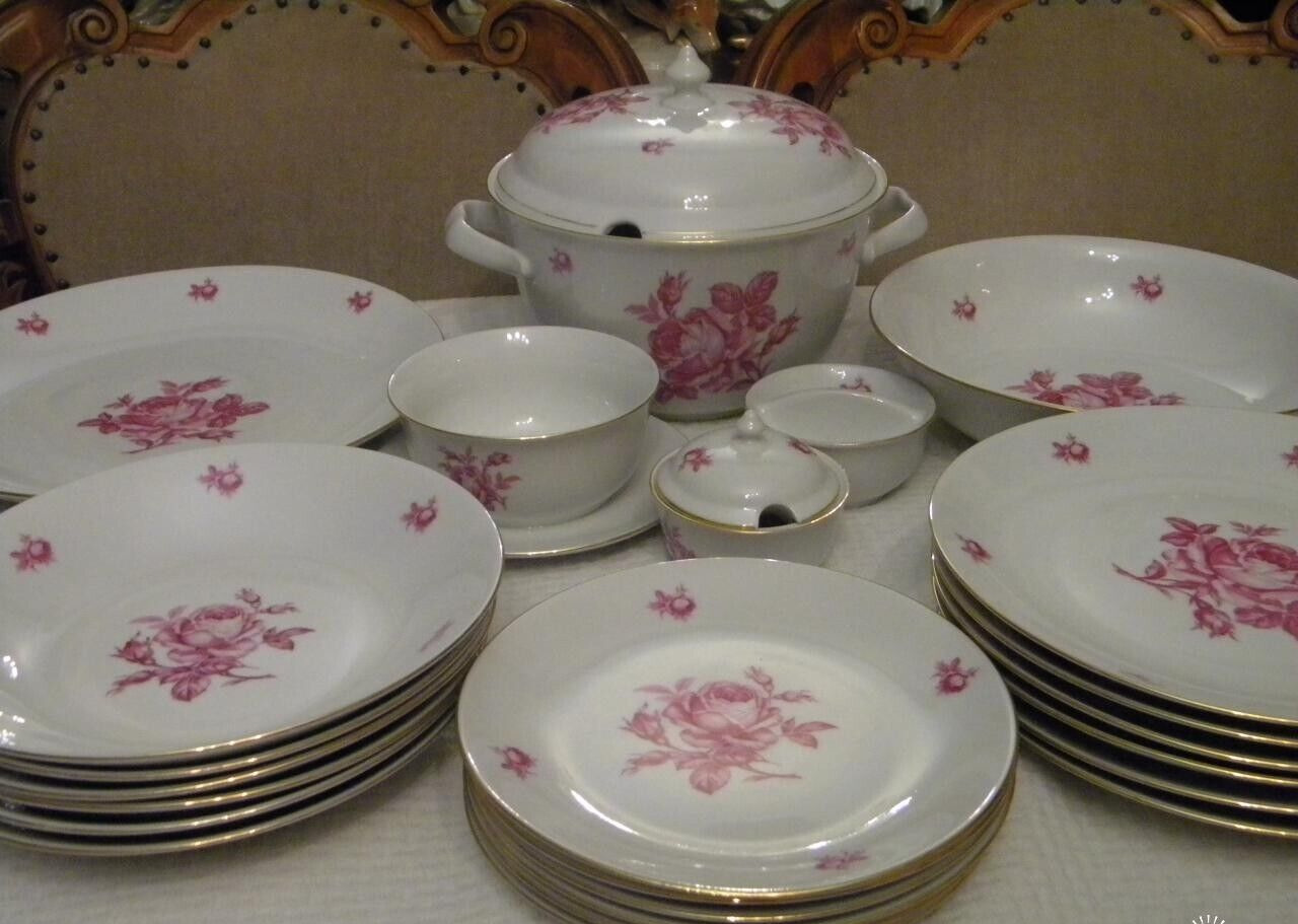 Vintage Czechoslovakia Rare Set Table Service Rose Porcelain Dish Plares Sauce