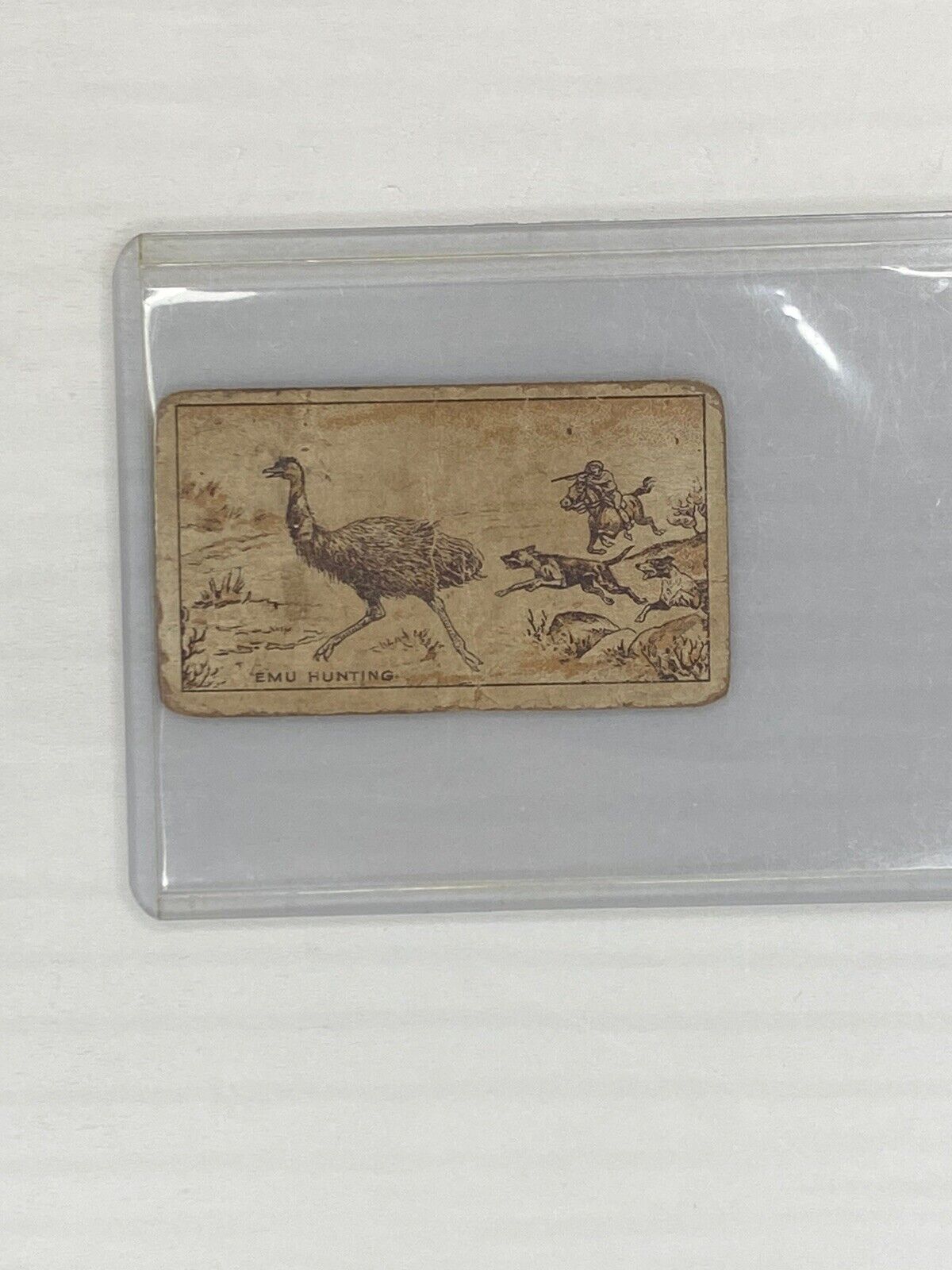 Rare 1910 Macrobertsons Confectionary Sports #16 Emu Hunting Card