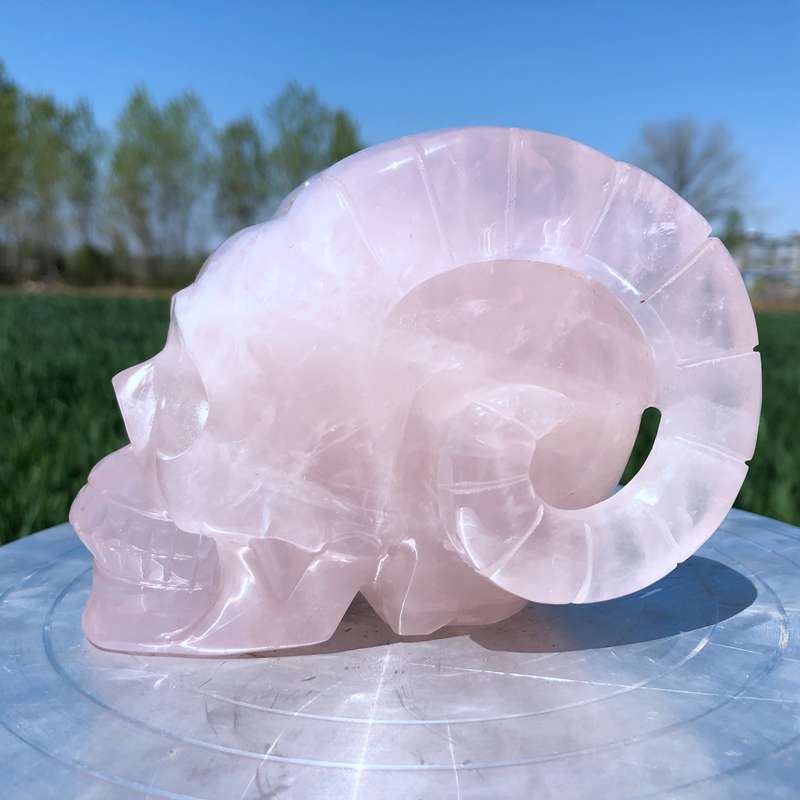 2.72LB Natural Quartz Crystal Hand Carved Rose Quartz Sheep Skull Reiki Gift