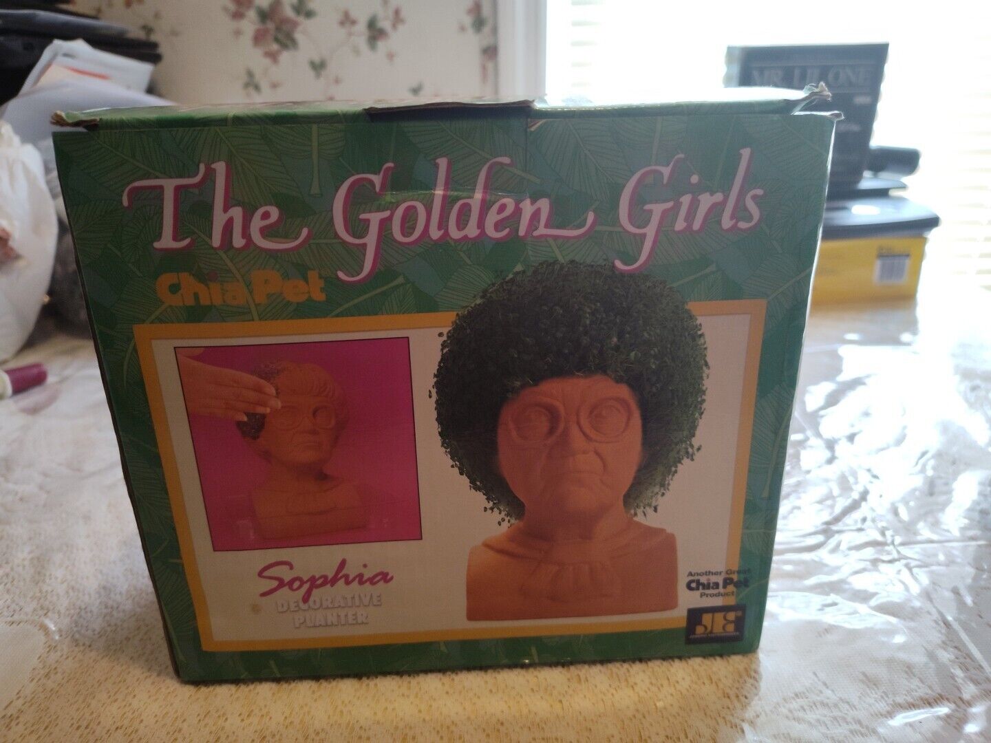 The Golden Girls Sophia Chia Pet Decorative Handmade Pottery Planter New In Box