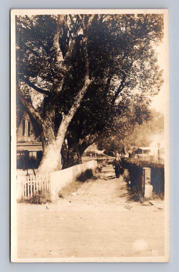 Nantucket Village Lane RPPC Antique Massachusetts Real Photo Postcard ~1910s