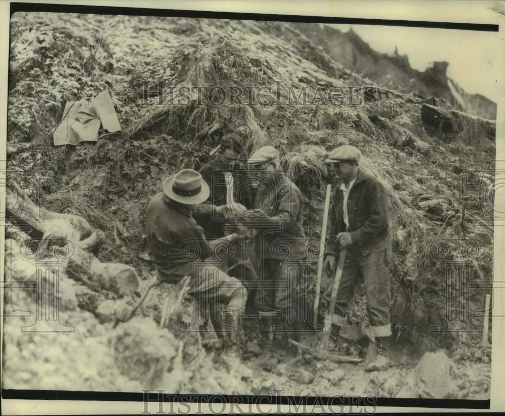 1929 Press Photo Mammoth bones discovered on digging site - lrx28414