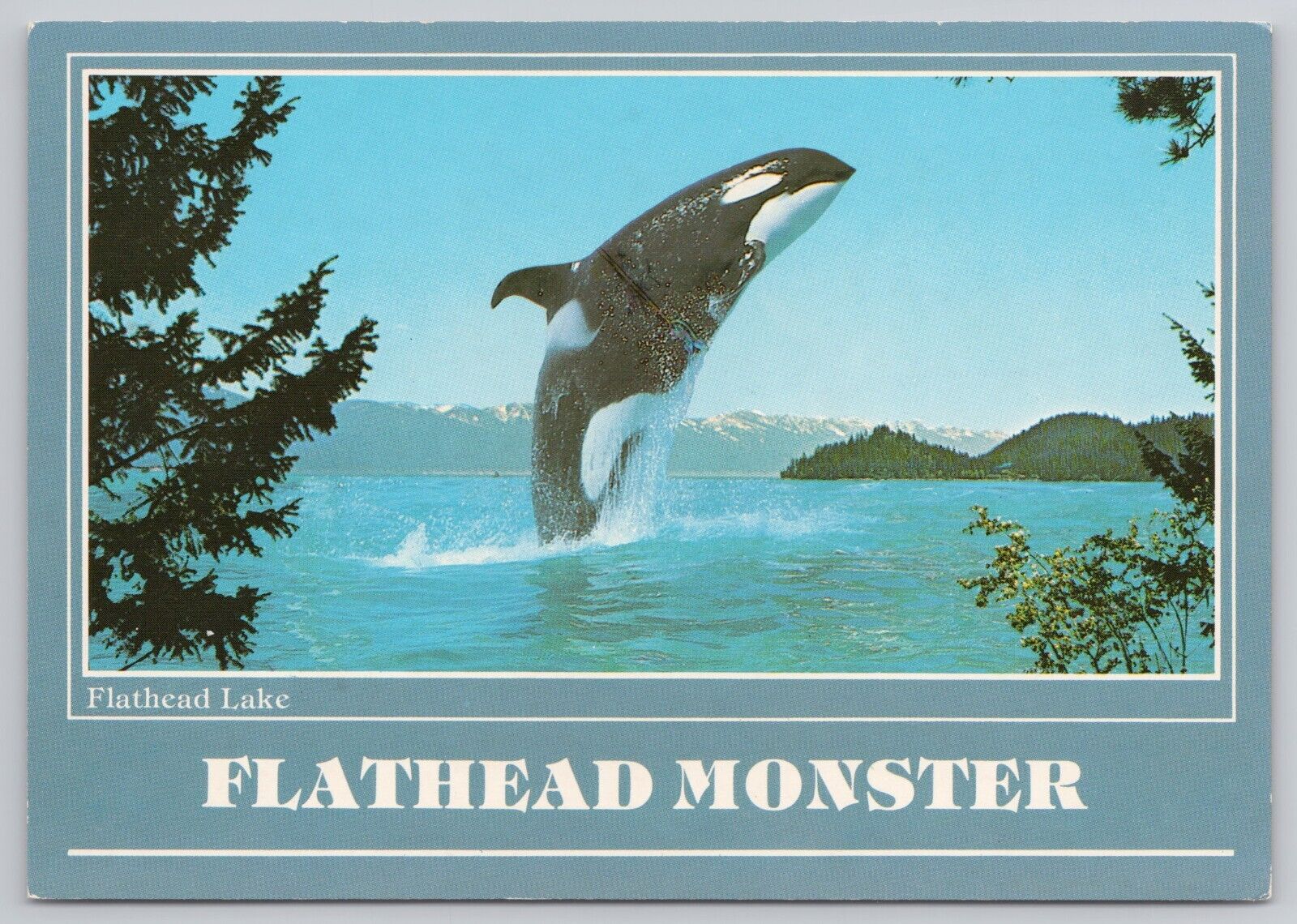Polson Montana, Flathead Lake Monster Orca Killer Whale, Vintage Postcard