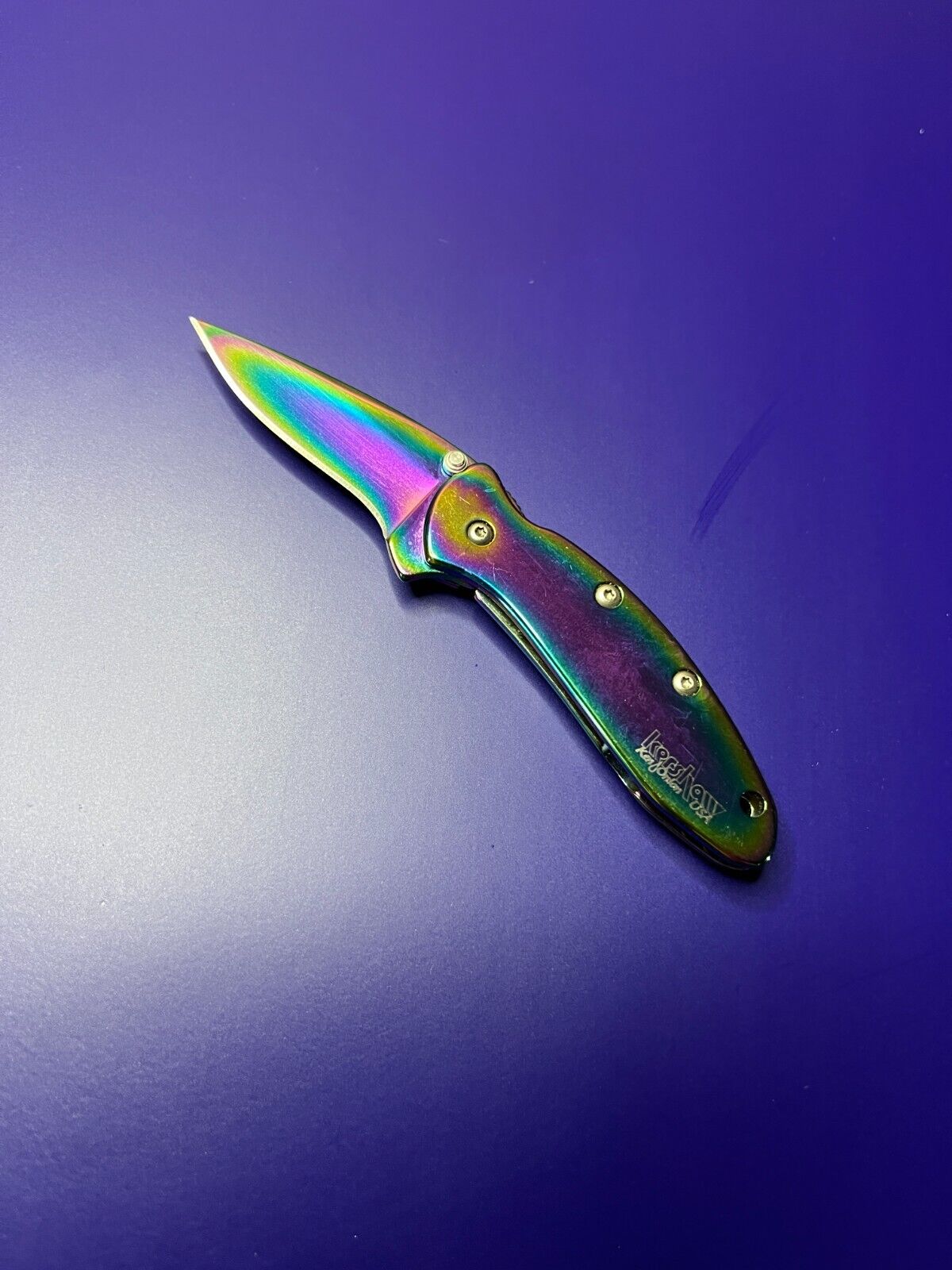 Kershaw 1600VIB Chive Rainbow Assisted Knife