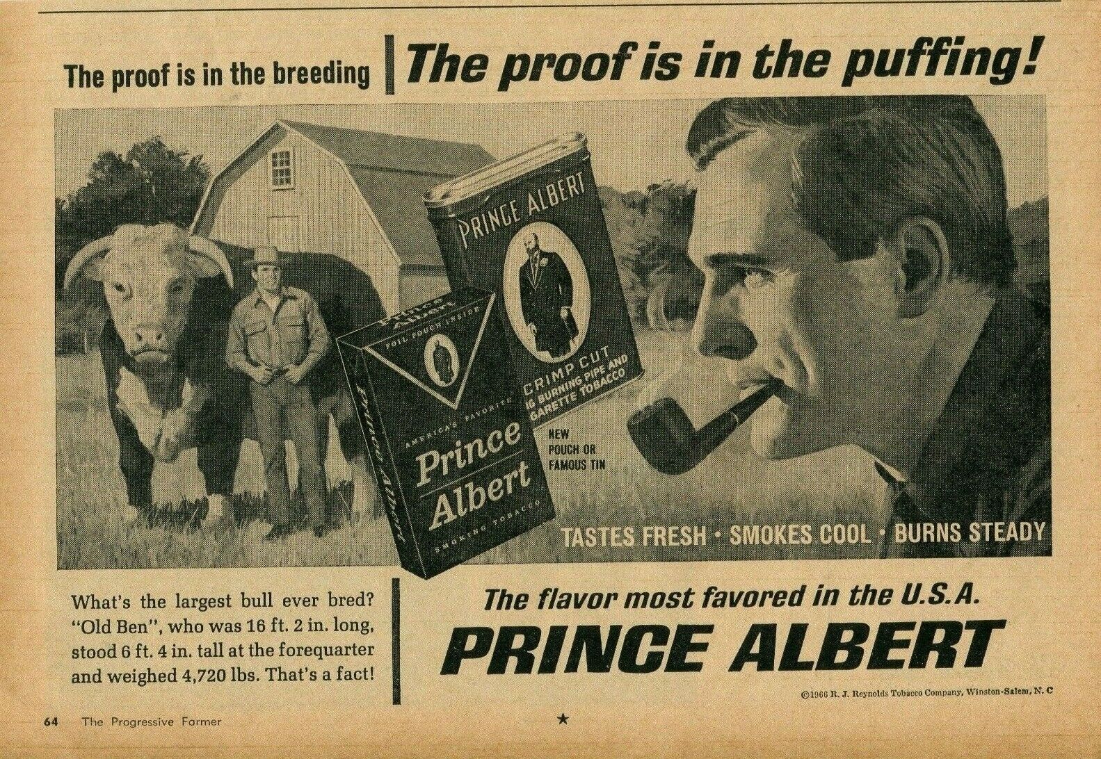 1967 Print Ad of Prince Albert Pipe Tobacco w Old Ben largest bull ever bred