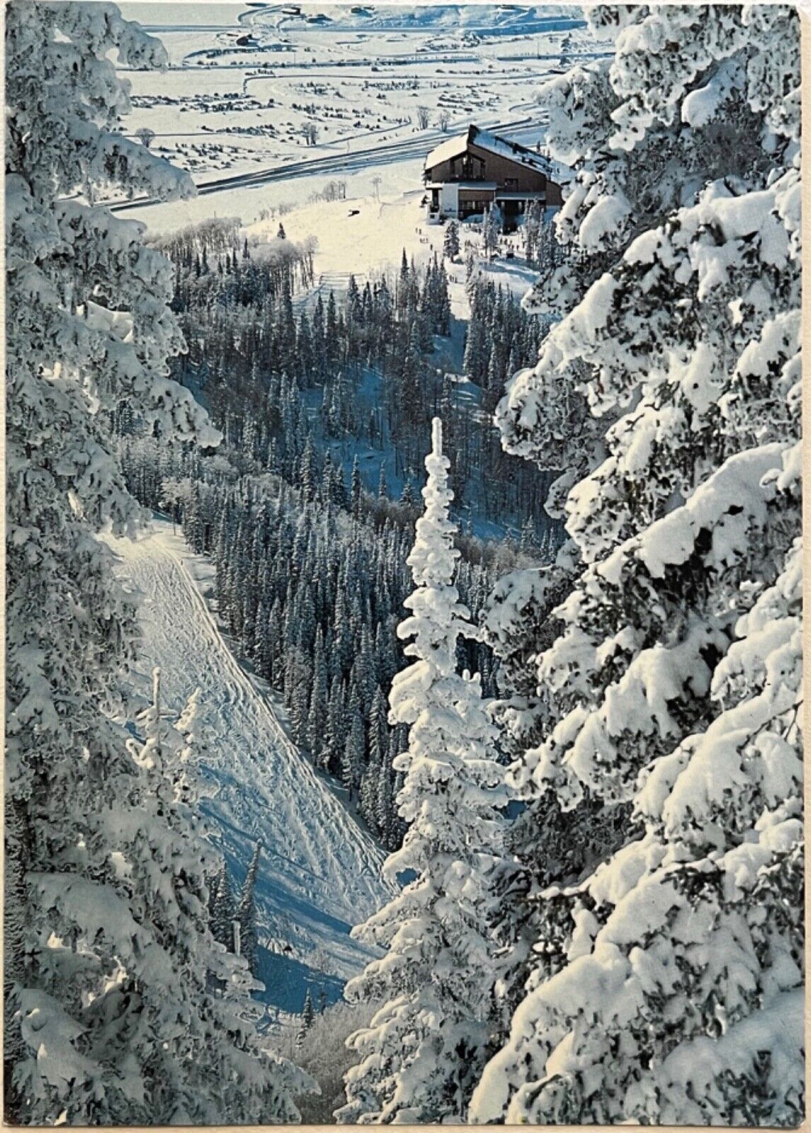 Steamboat Springs Colorado Ski Area Thunderhead Skyline Runs 6x4 Postcard 1985