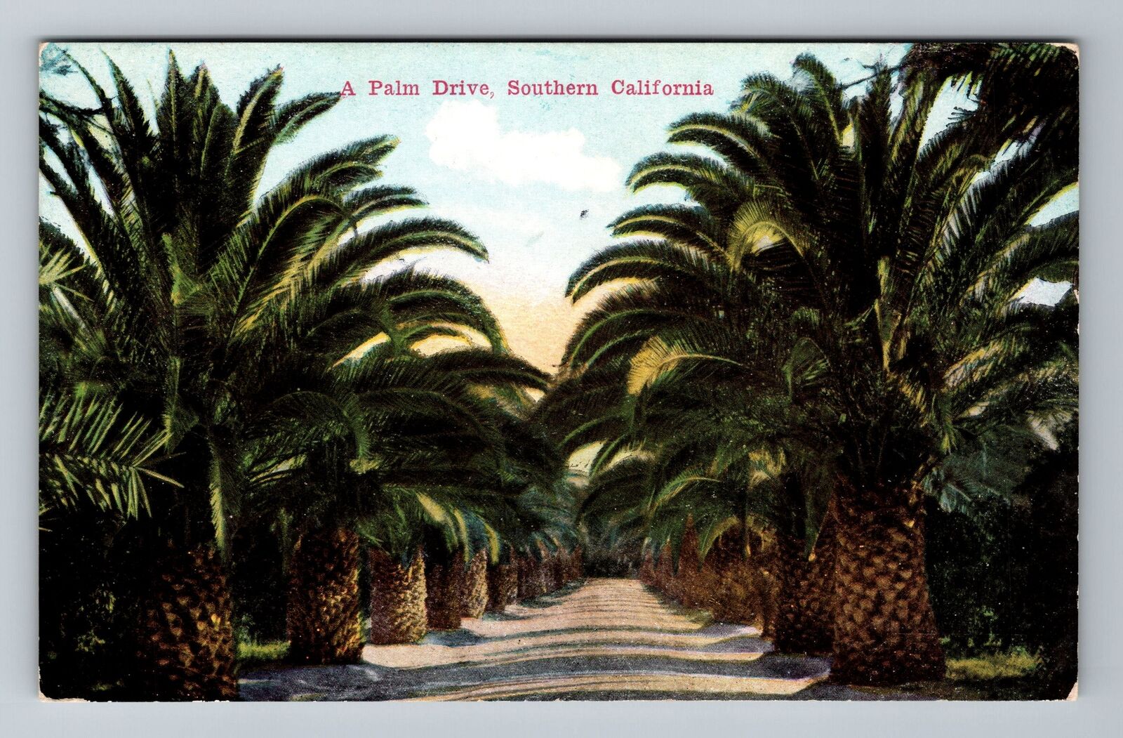 CA-California, Scenic View A Palm Drive, Vintage Postcard