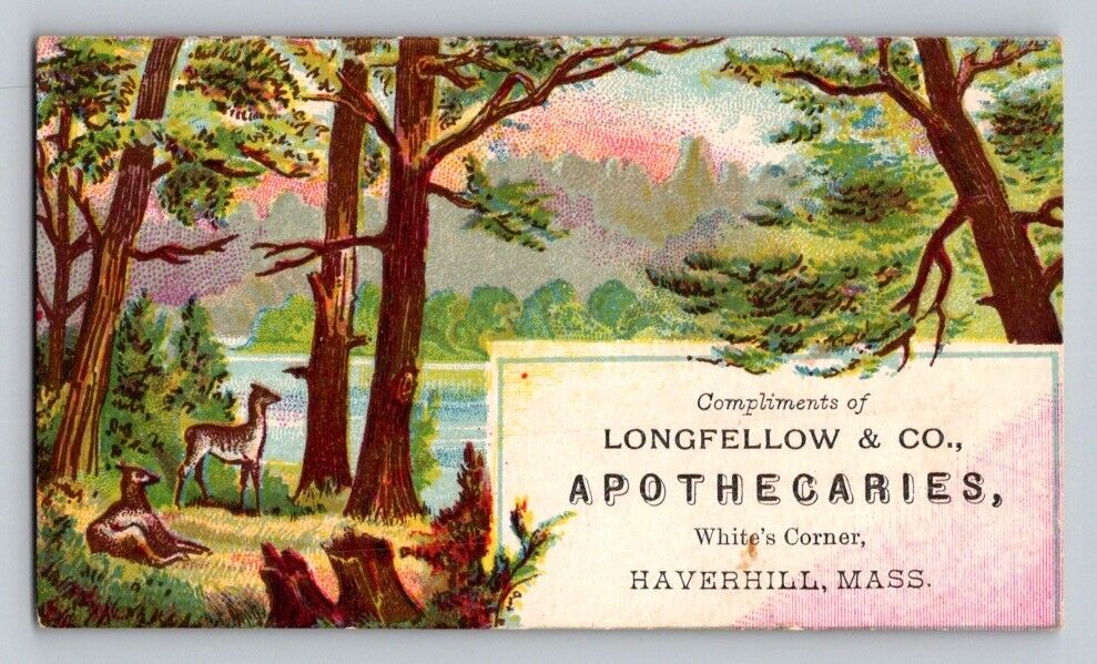 Longfellow Apothecaries Deer Woods Scene  Haverhill MA P36