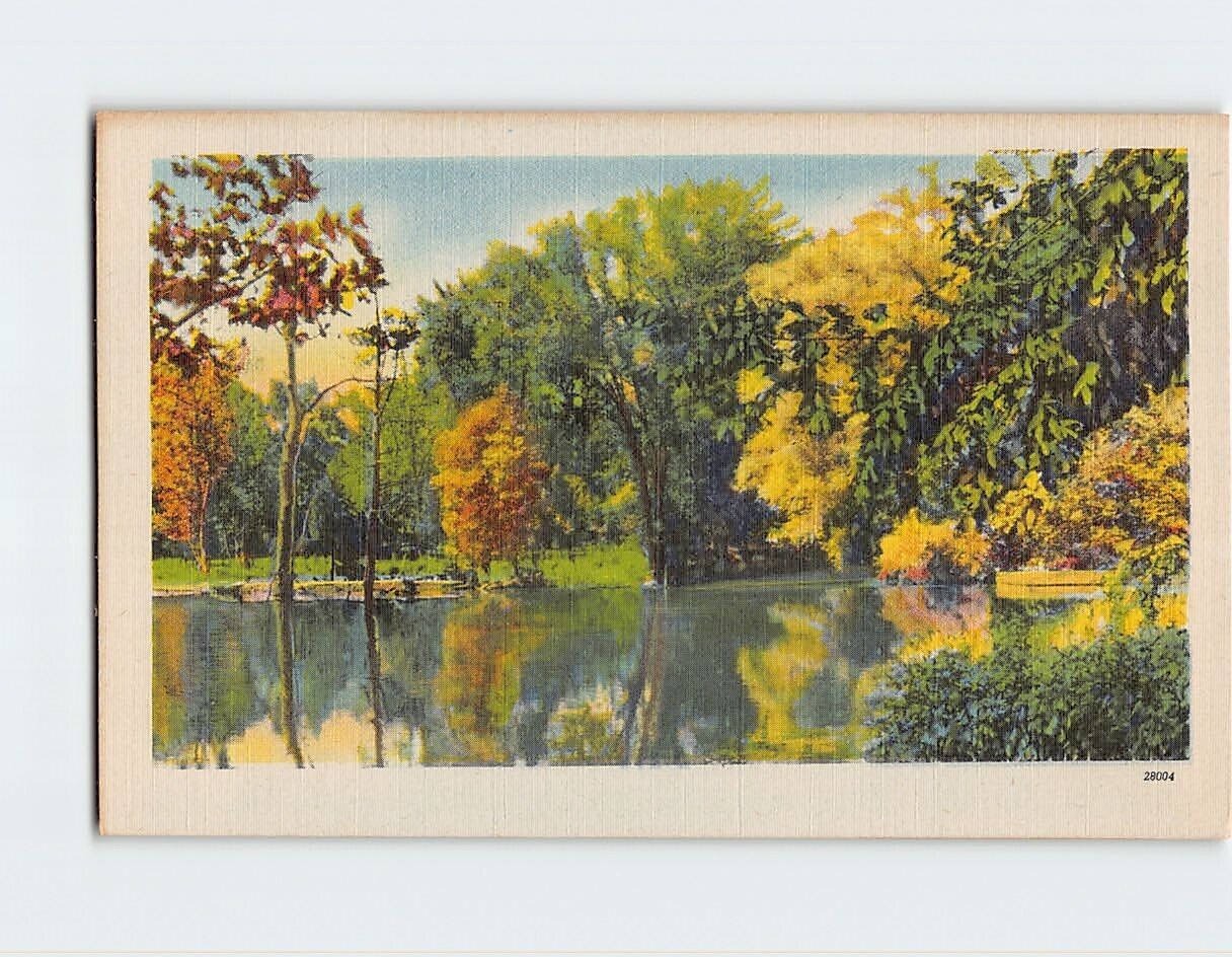 Postcard Trees Nature Lake Scenery