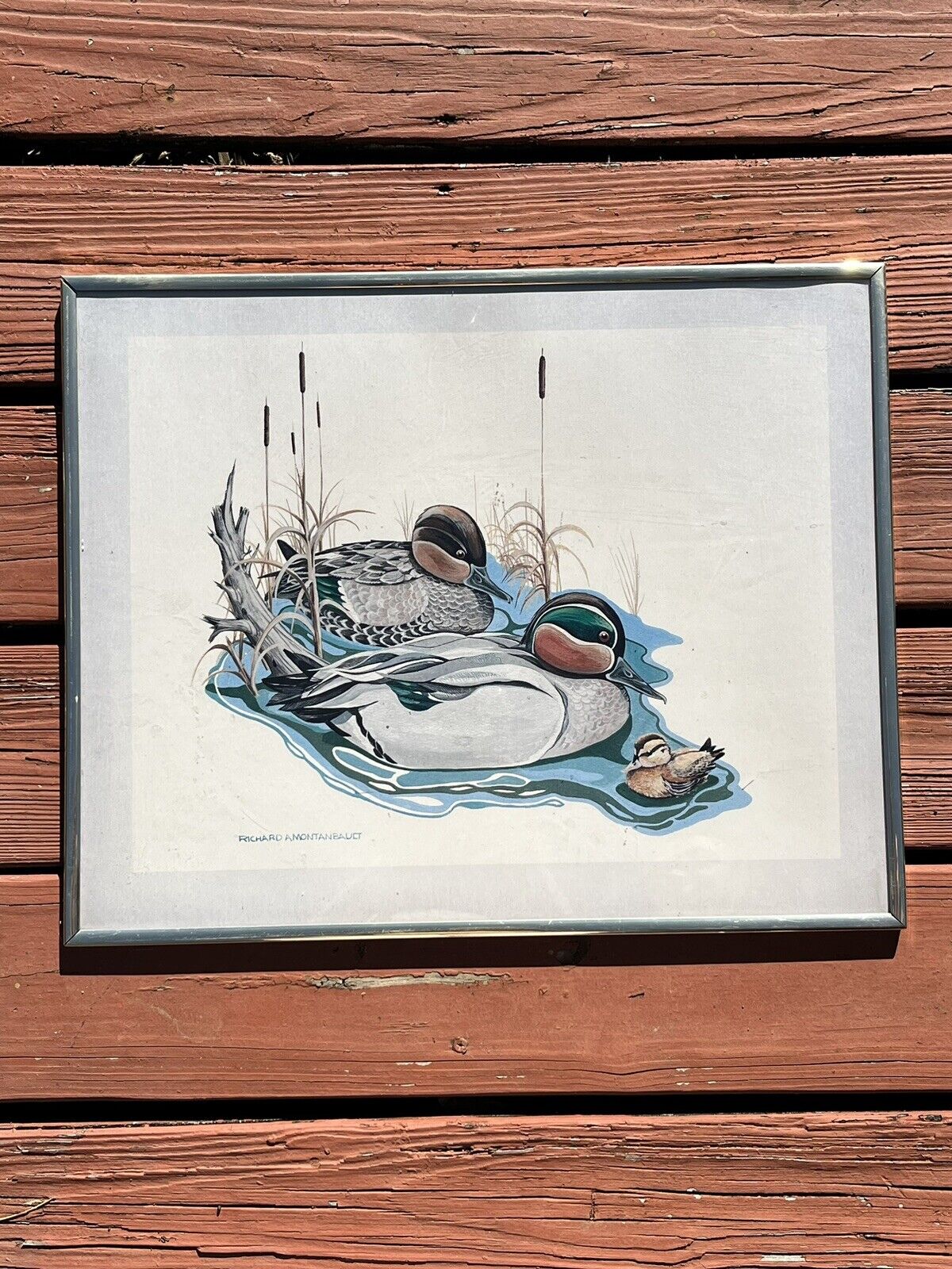 Signed Print 1986 WING TEALS II By Richard A.  Montanbault MALLARD DUCK Family