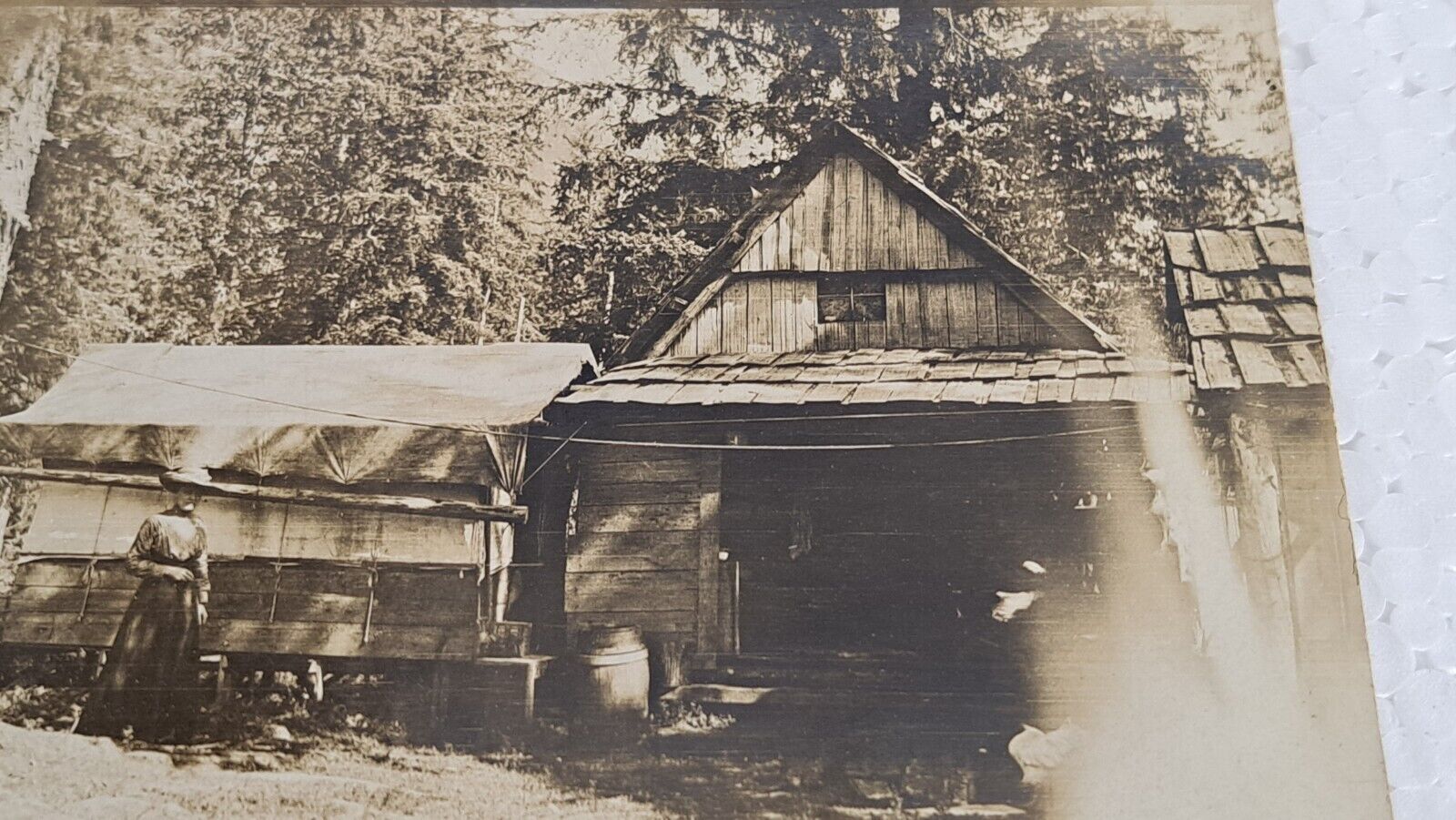 RPPC Early 1900\'s Real Photo Postcard Woman Standing Next to Shed House
