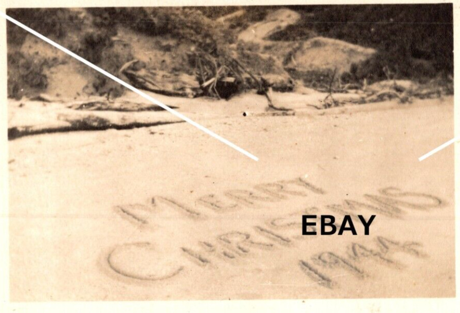 1944 Real Photo Christmas Card Ocean Beach Sand Writing Driftwood Sepia