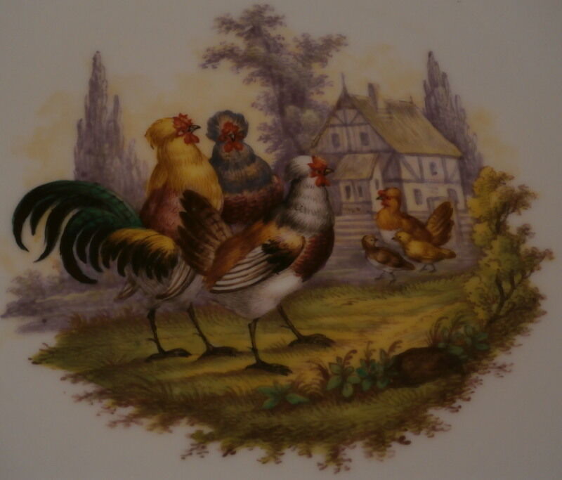 Antique Meissen Porcelain Chicken Scene Plate Porzellan Teller Scenic Bird Huhn