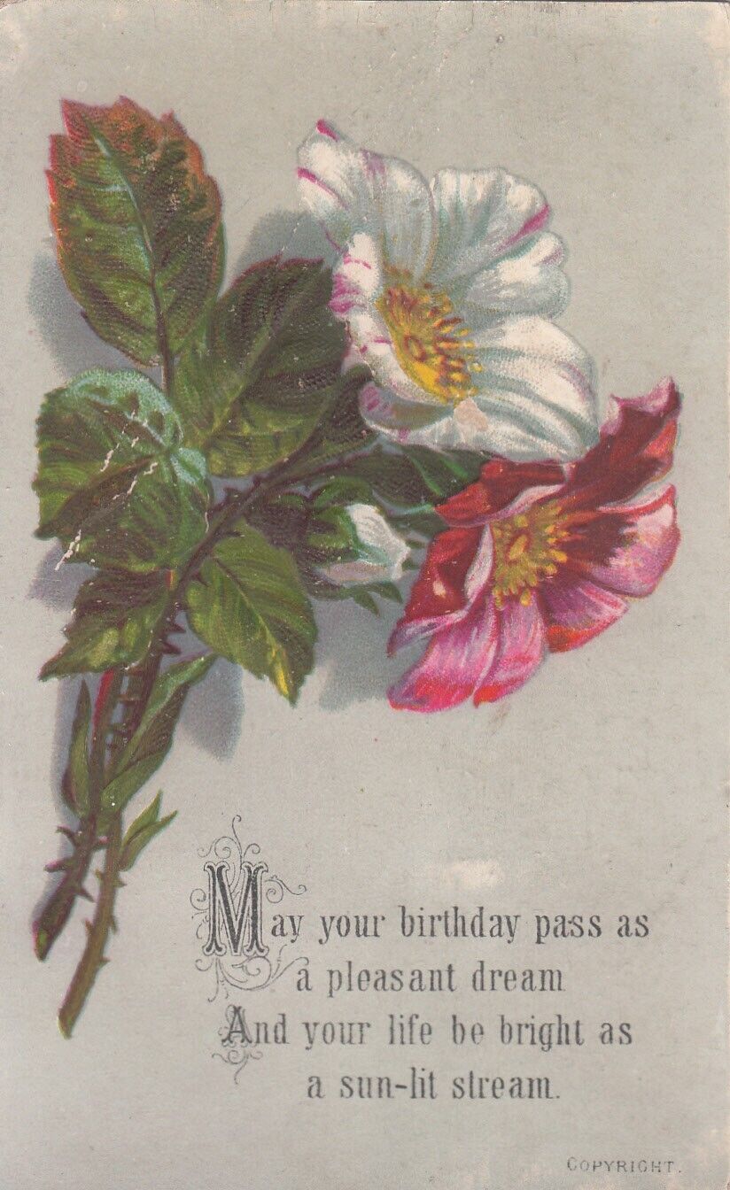 May Your Birthday Pass as a Pleasant Dream Embossed Vict Card c1880s