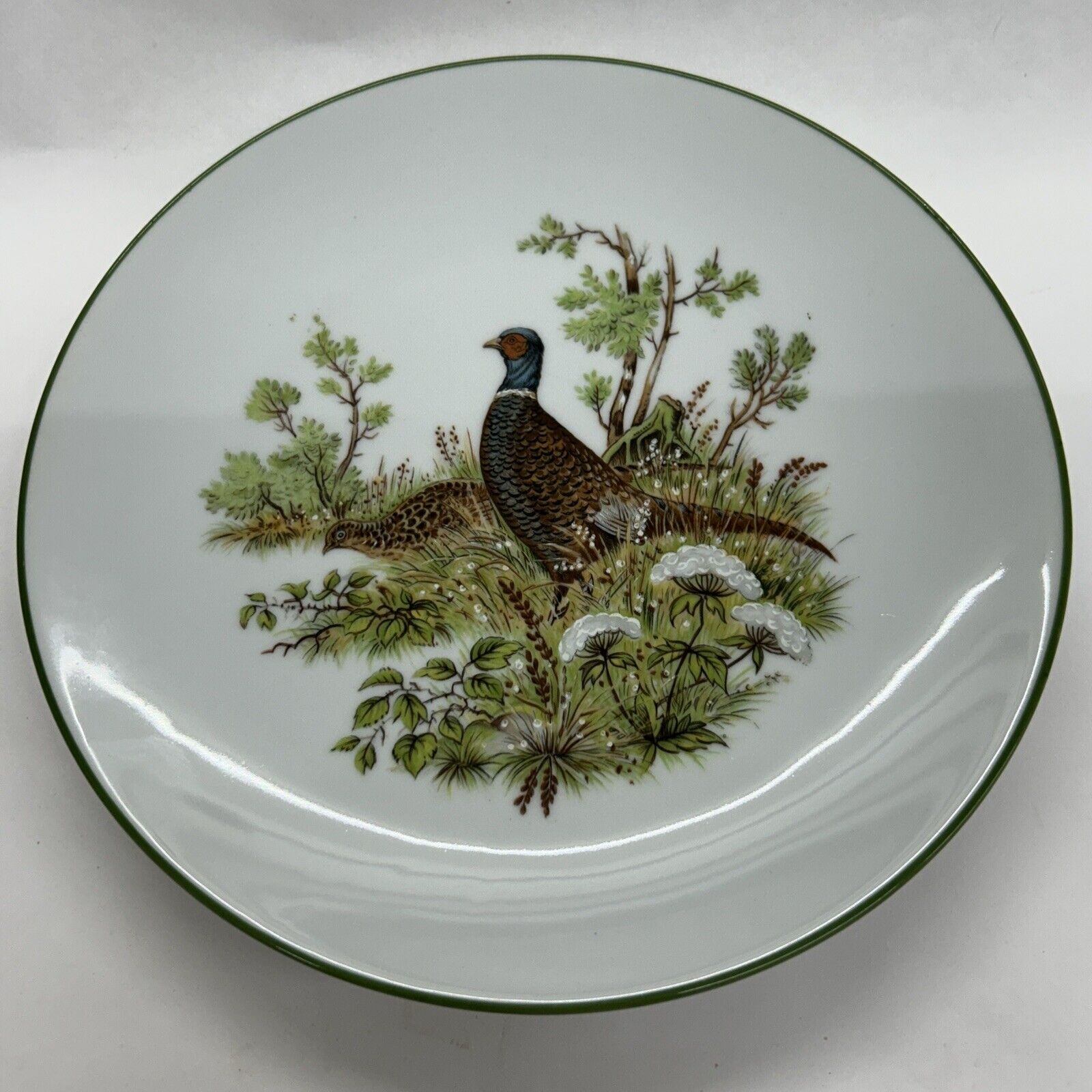 Vintage Bareuther Waldsassen 254 7-3/4” Salad Plate Pheasants Green Border B4