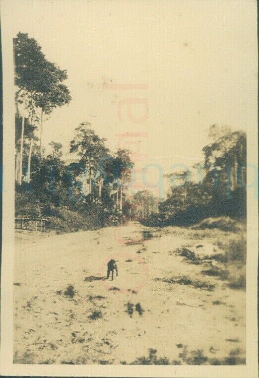 1928 Photo Gold Coast Ghana Road from Kumasi 2.5x1.7\