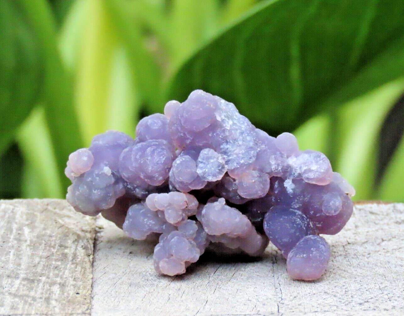 Stunning Purple Grape Agate Crystal Cluster