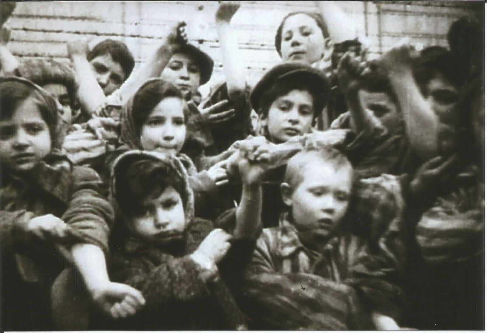 WW II - German  Photo --   Concentration Camp...
