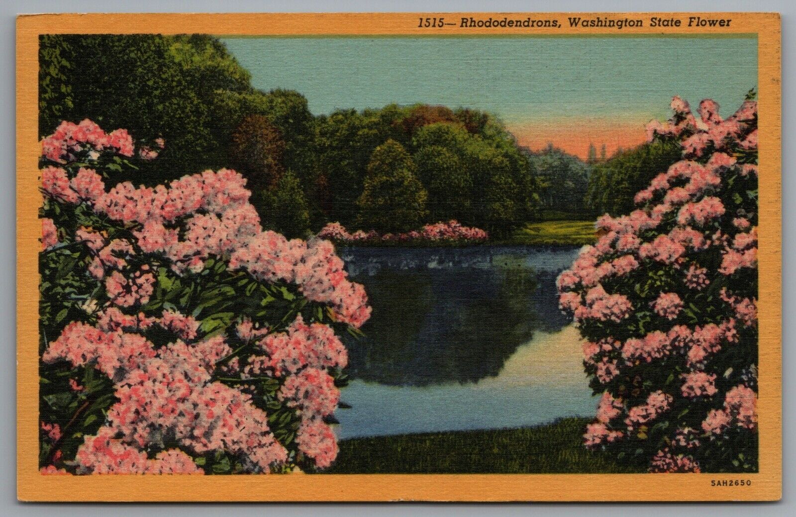 Rhododendrons Washington State Flower c1935 Linen Postcard