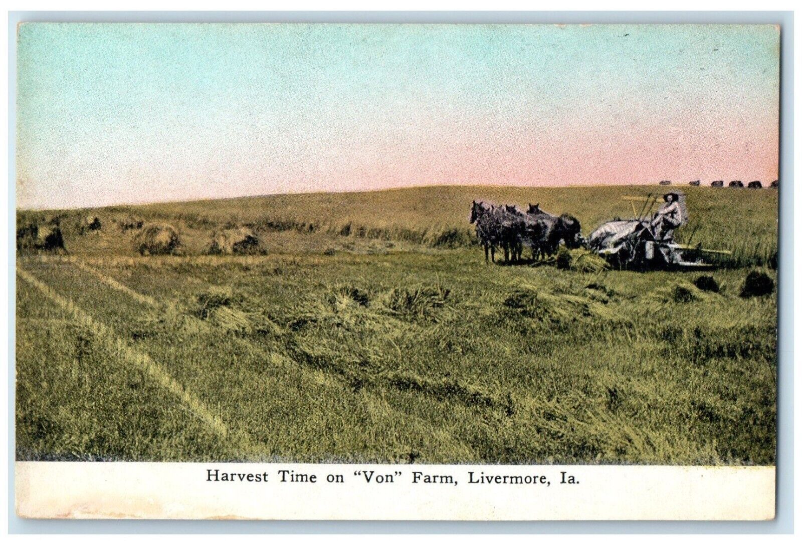 c1910\'s Harvest Time On Von Farm Livermore Iowa IA, Horses Scene Postcard