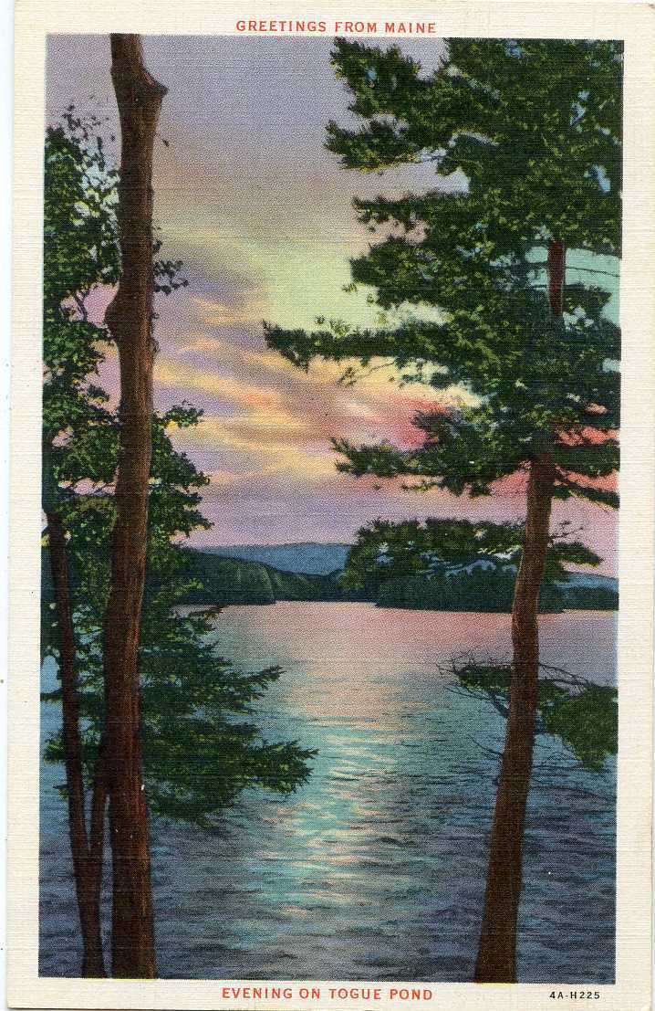 TOGUE POND SUNSET GREETINGS Maine Postcard 22049