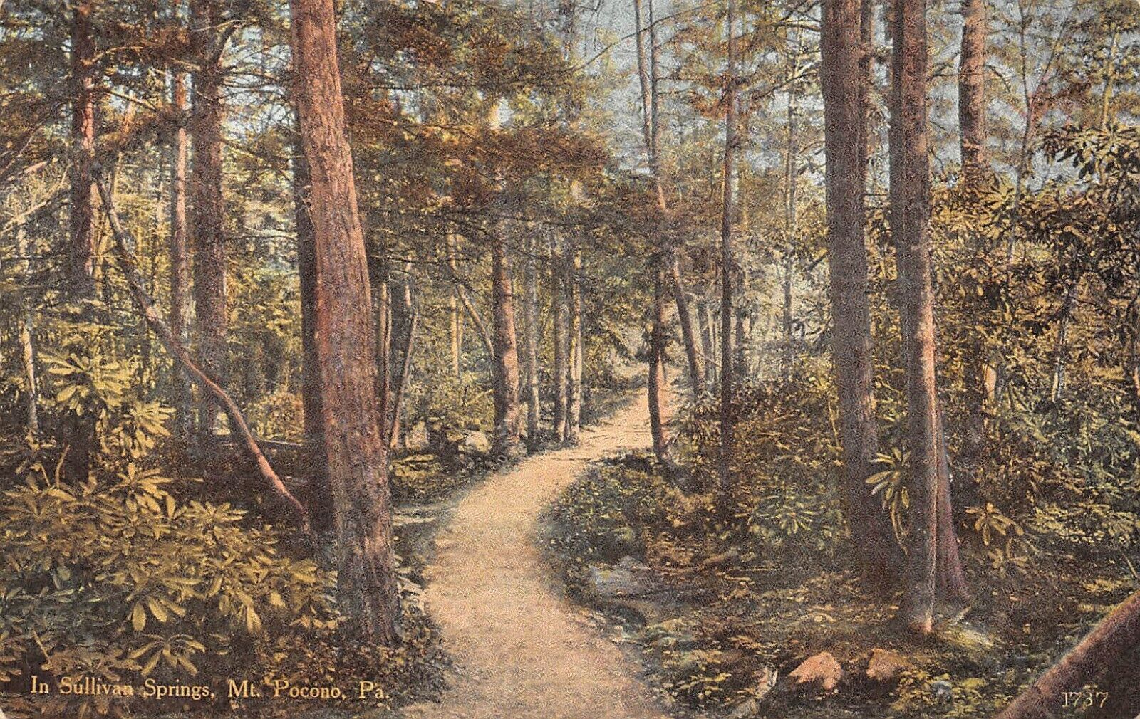 In Sullivan Springs Mt. Pocono Pennsylvania c1910 Postcard