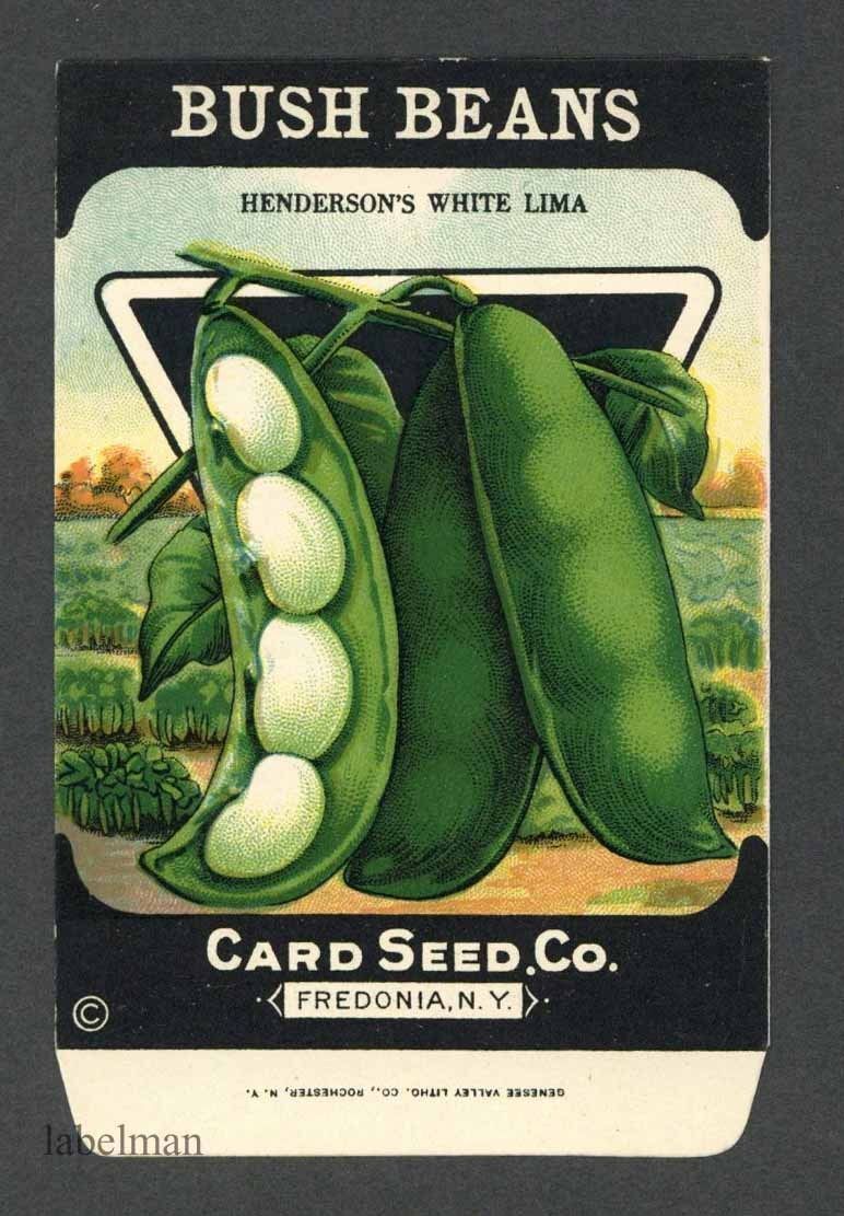 BUSH BEANS, Henderson\'s White Lima, Card Seed Company, Country Store, 072