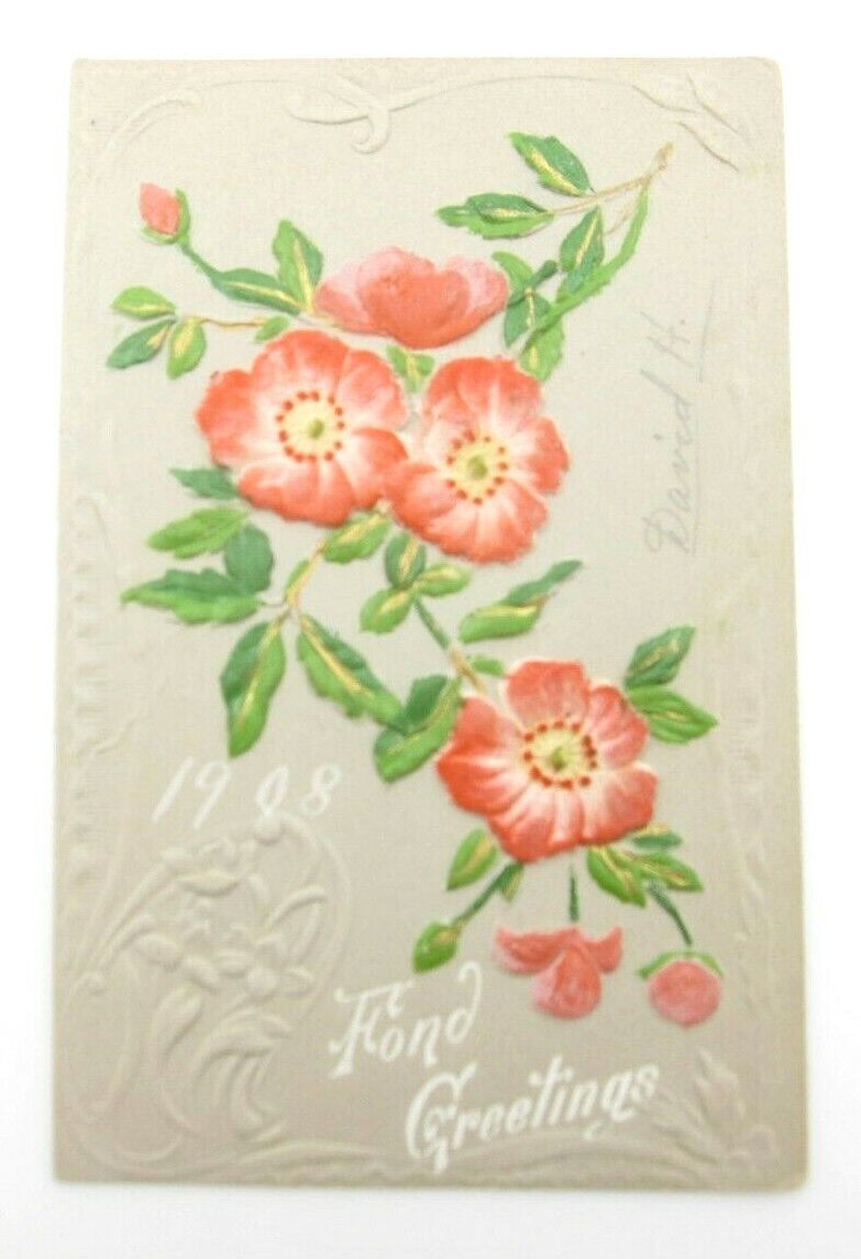 Vintage 1908 Raised Pink Daisy Flower Fond Greeting Postcard (A5)