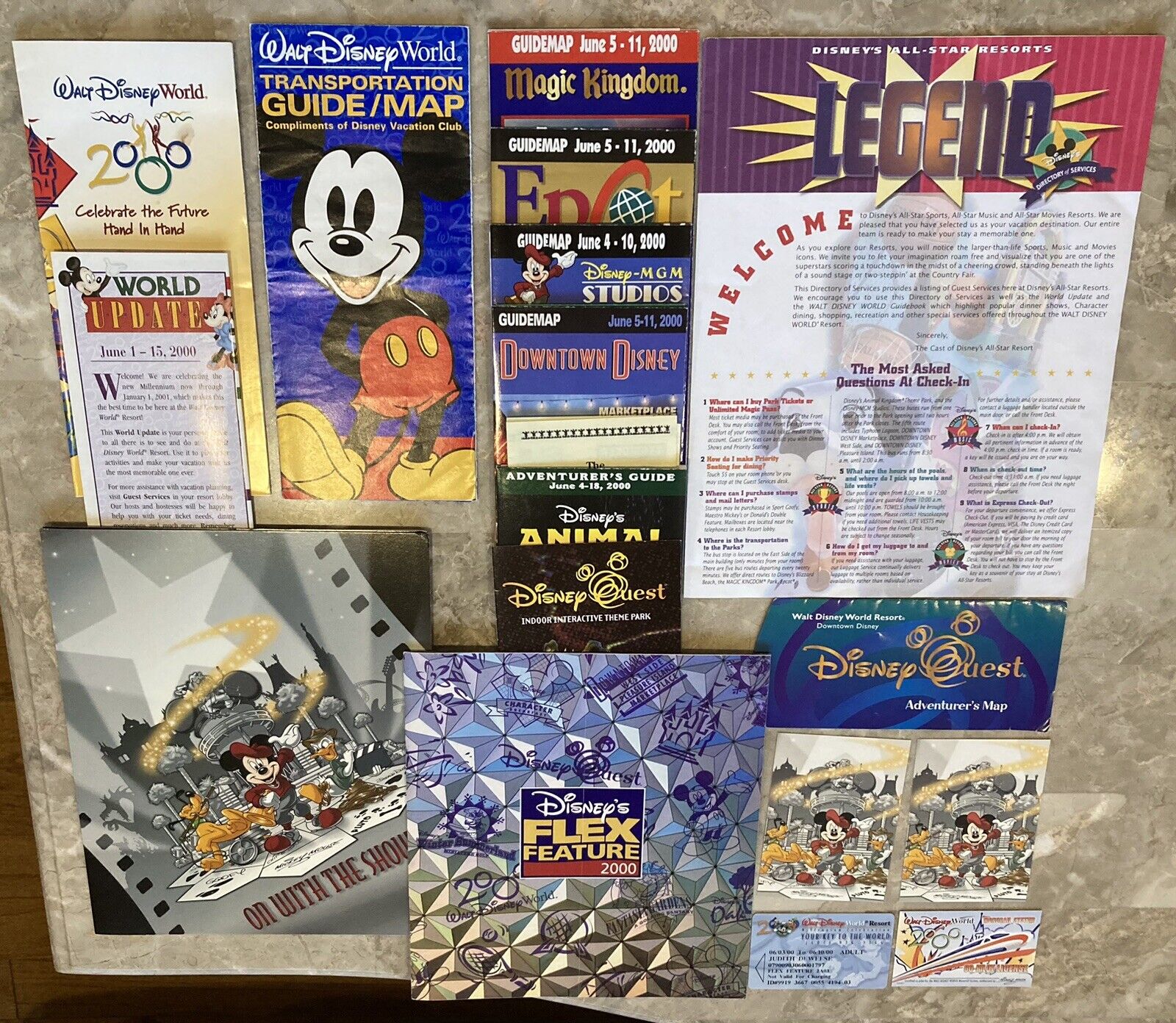 Mega Lot Of Disney World Millennium 2000 Celebration Brochures Maps Etc 18 Items