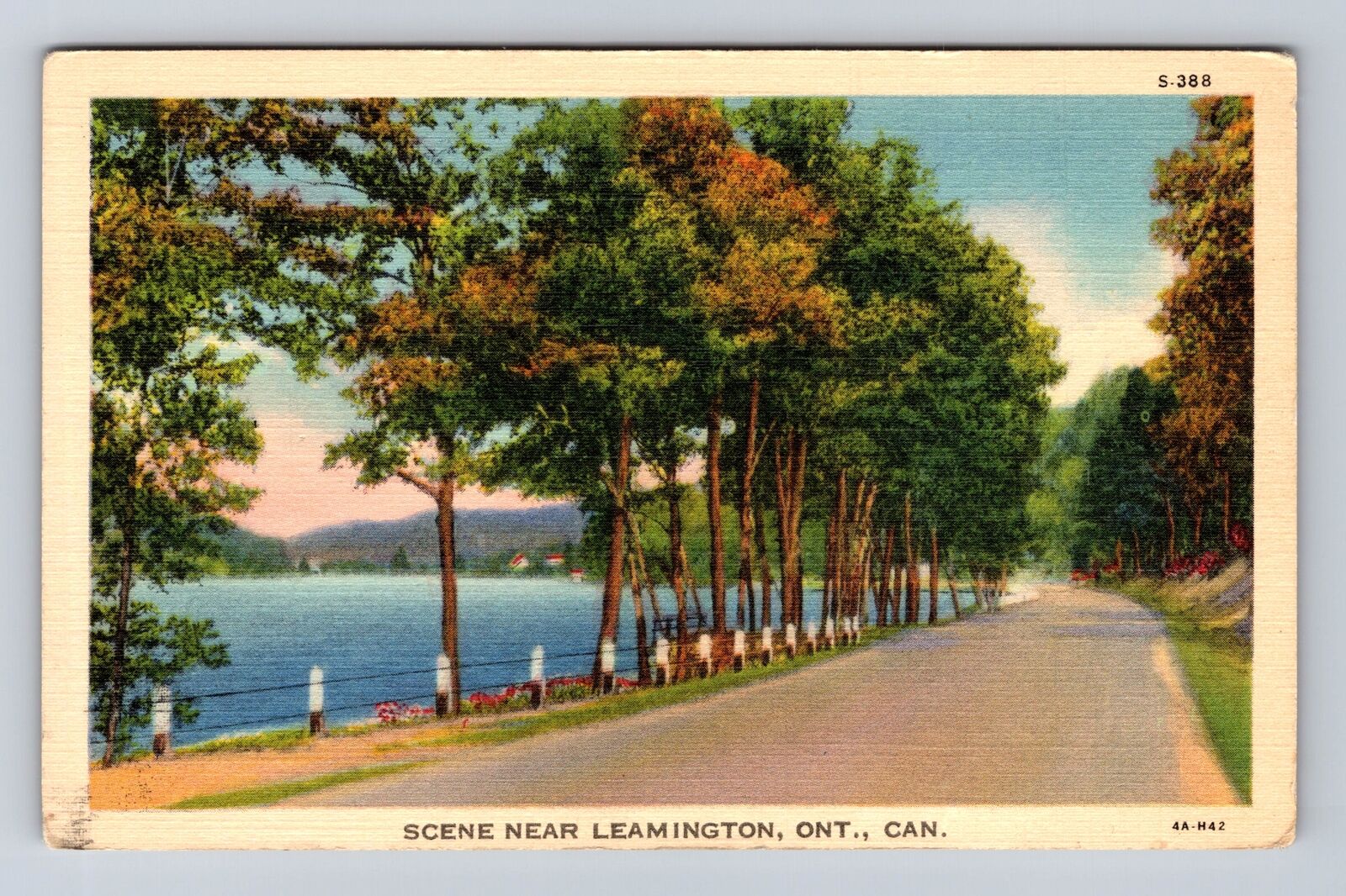 Leamington Ontario-Canada, Scene Of Road, Antique, Vintage Souvenir Postcard