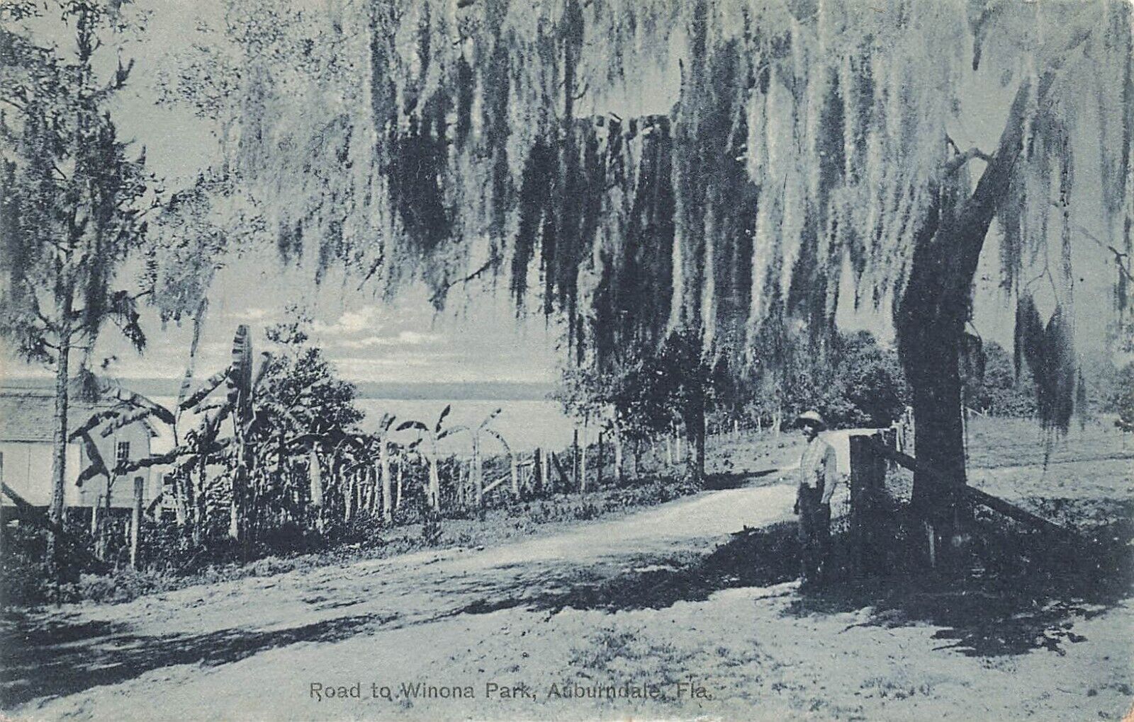 LP41 Auburndale Road to Winona Park Florida 1910 Postcard