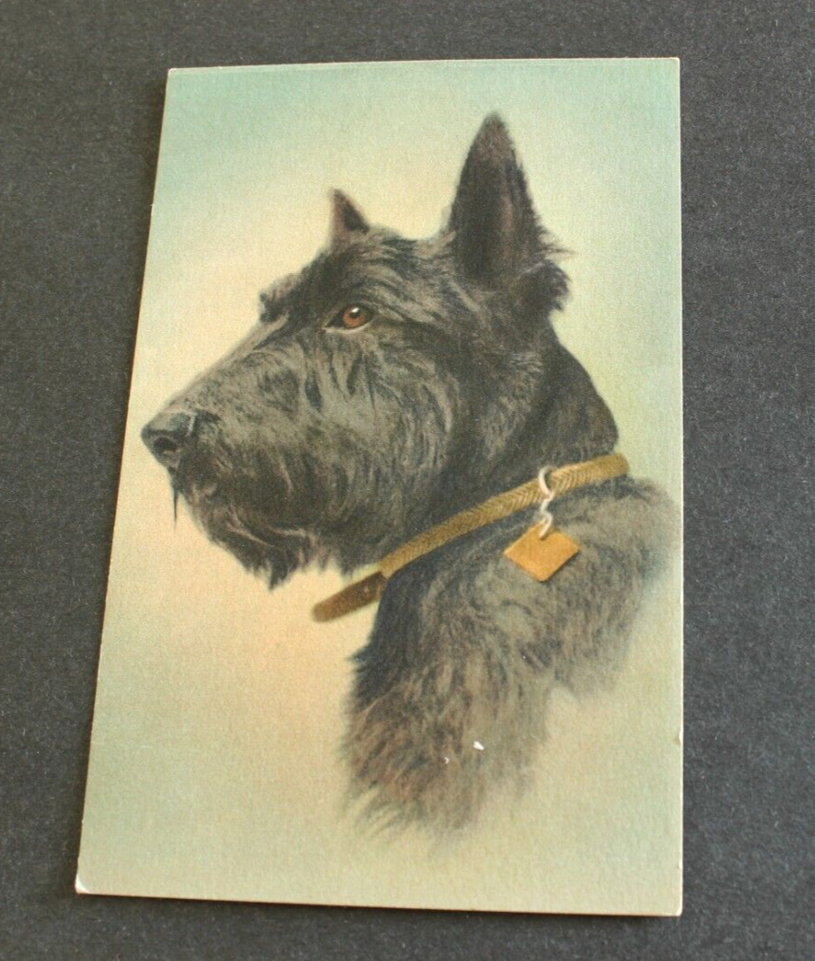 Artist-Signed DOG BREED Postcard \