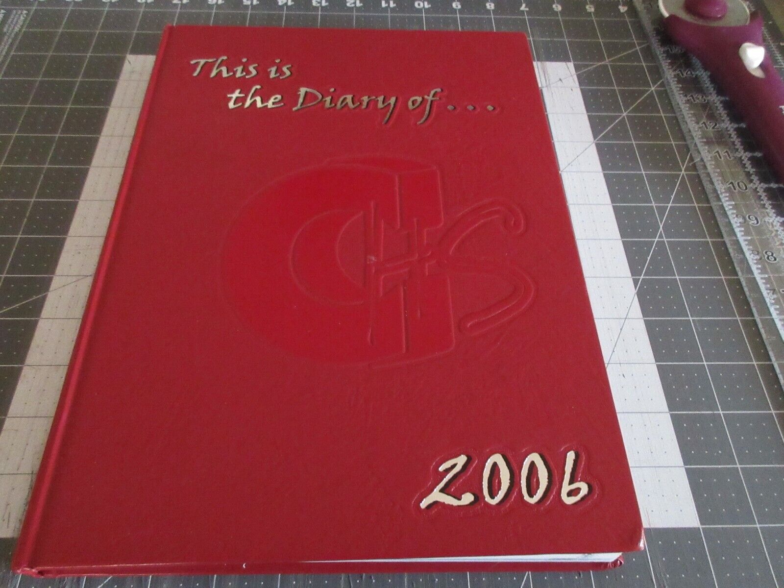 2006 CHESHIRE HIGH SCHOOL YEARBOOK, Diary of, CHESHIRE CONNECTICUT