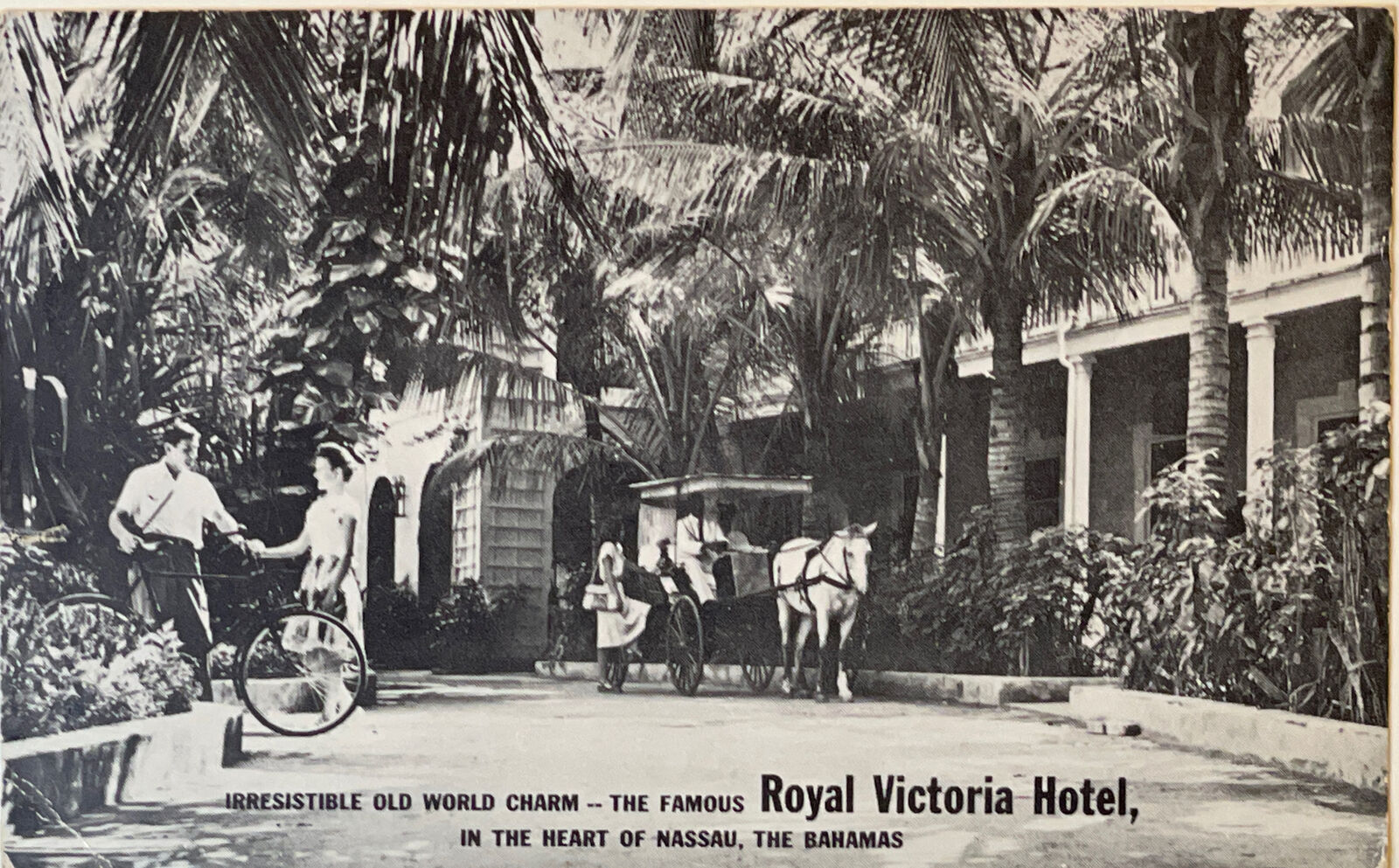 1949 Advertising Postcard - Royal Victory Hotel Nassau The Bahamas RPPC